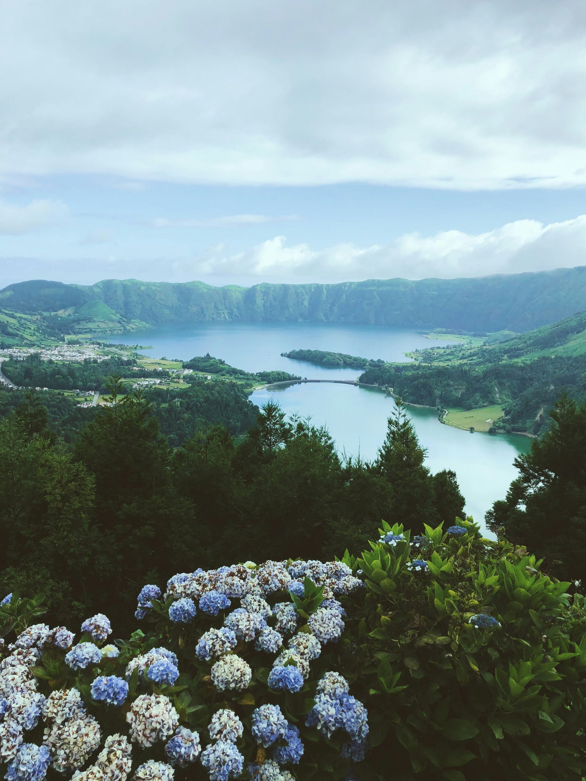 Lush green hills surround a lake with a bridge, blue and white flowers in the foreground, on the island of Azores, Portugal.