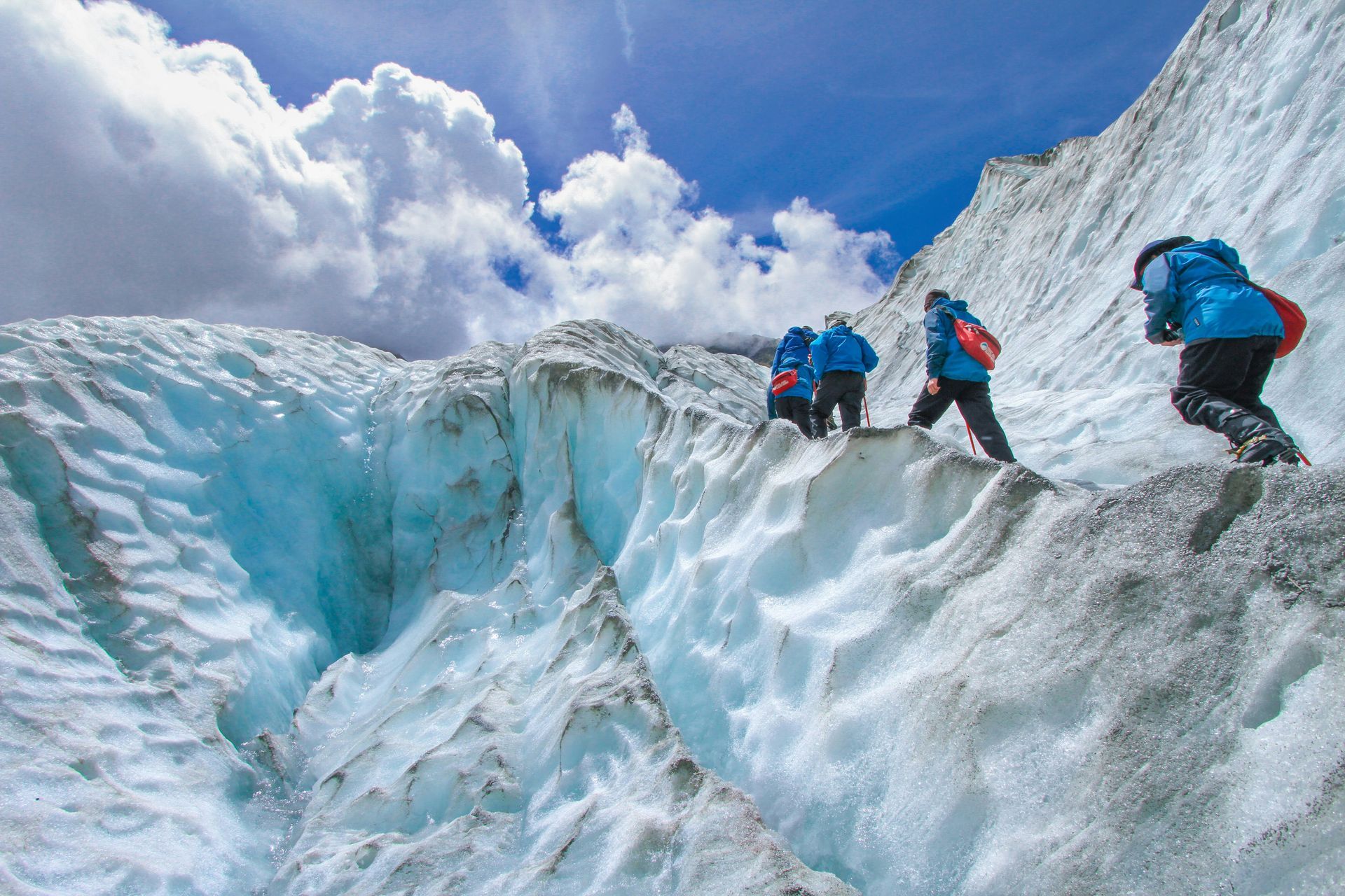 A group of people are hiking up the Franz Josef Glacier in New Zealand.