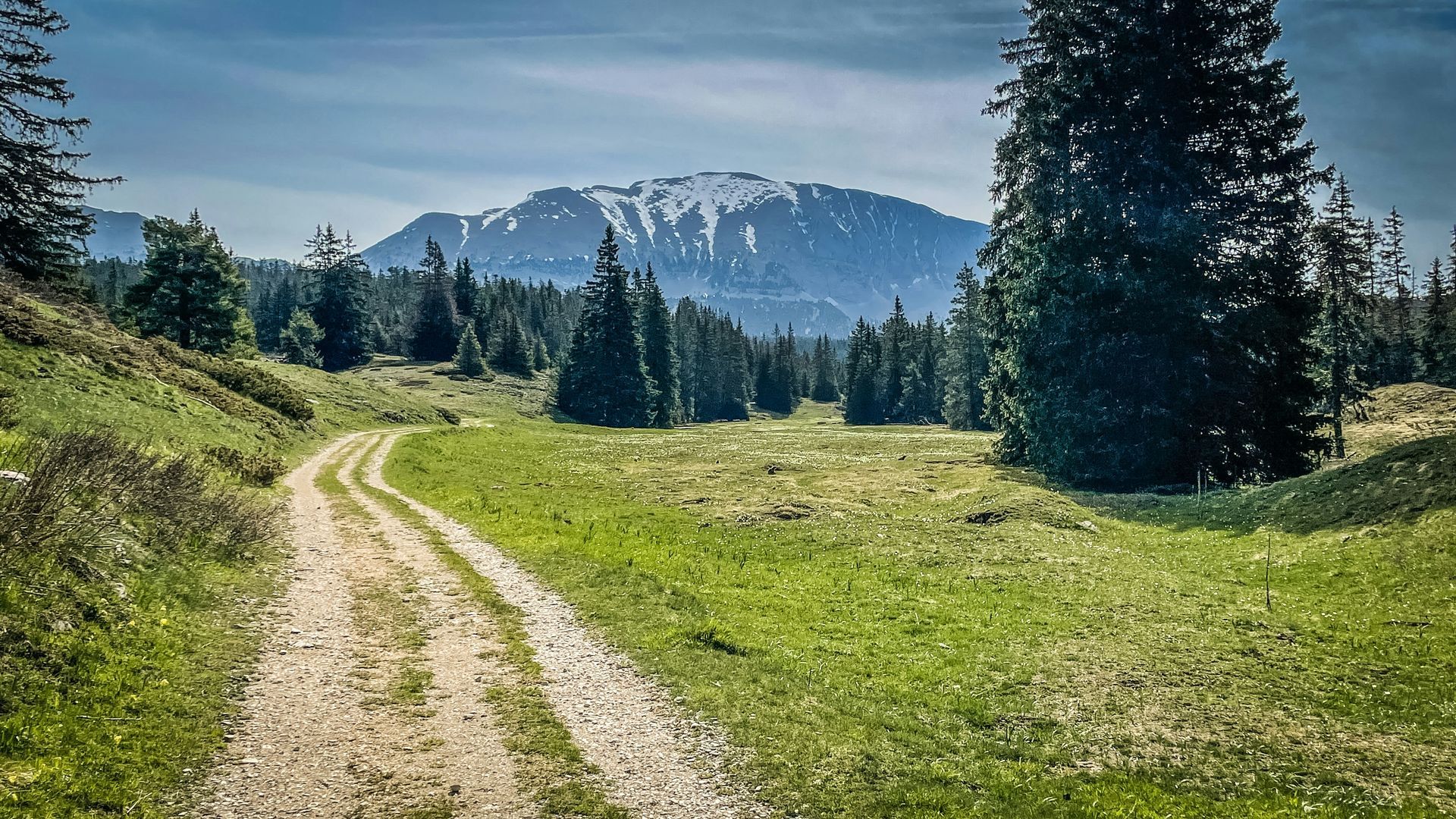 A dirt road going through a grassy field with a mountain in the background in Grenoble, France.