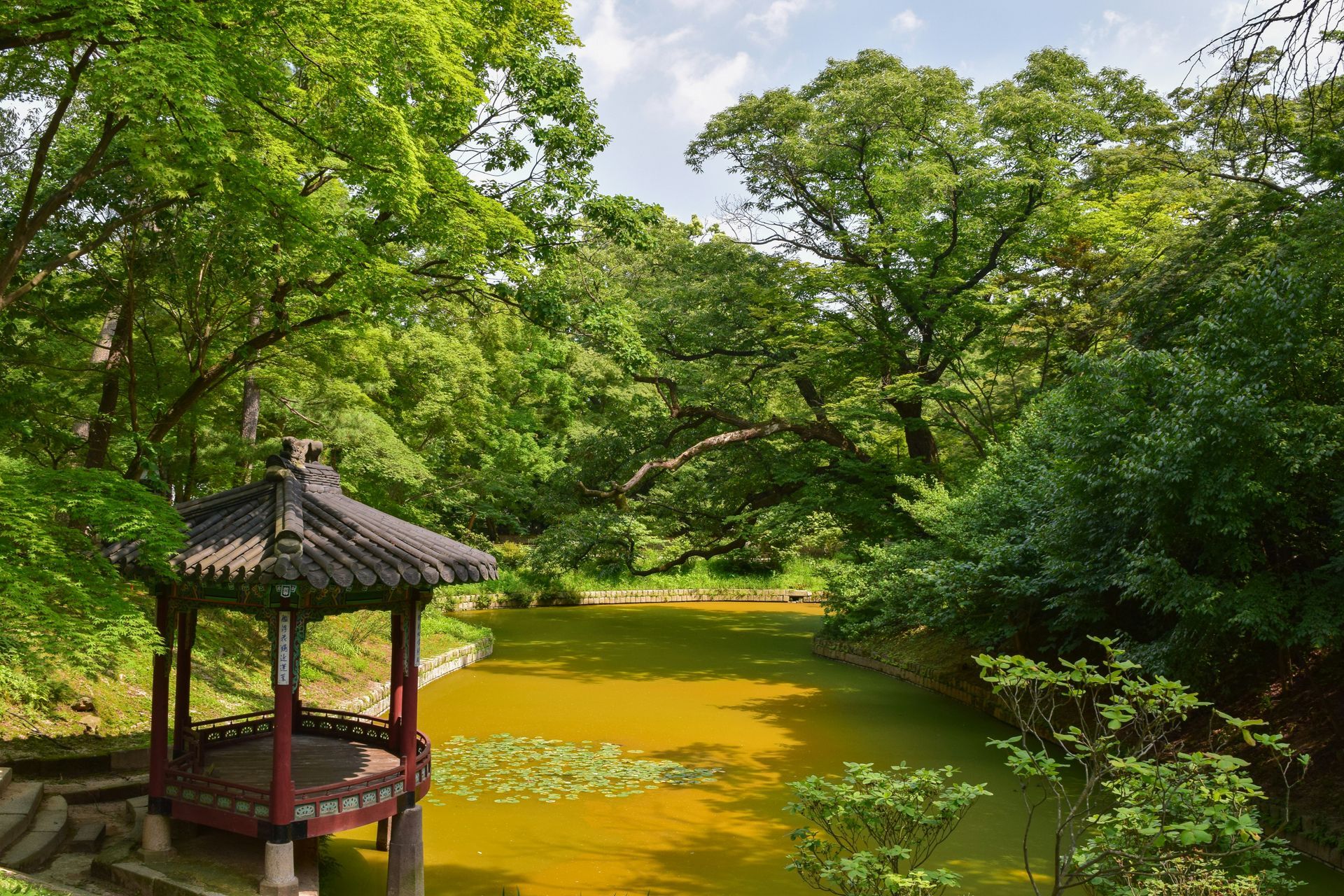 Pavilion overlooks a yellow-green pond surrounded by lush green trees at Changdeokgung, South Korea.