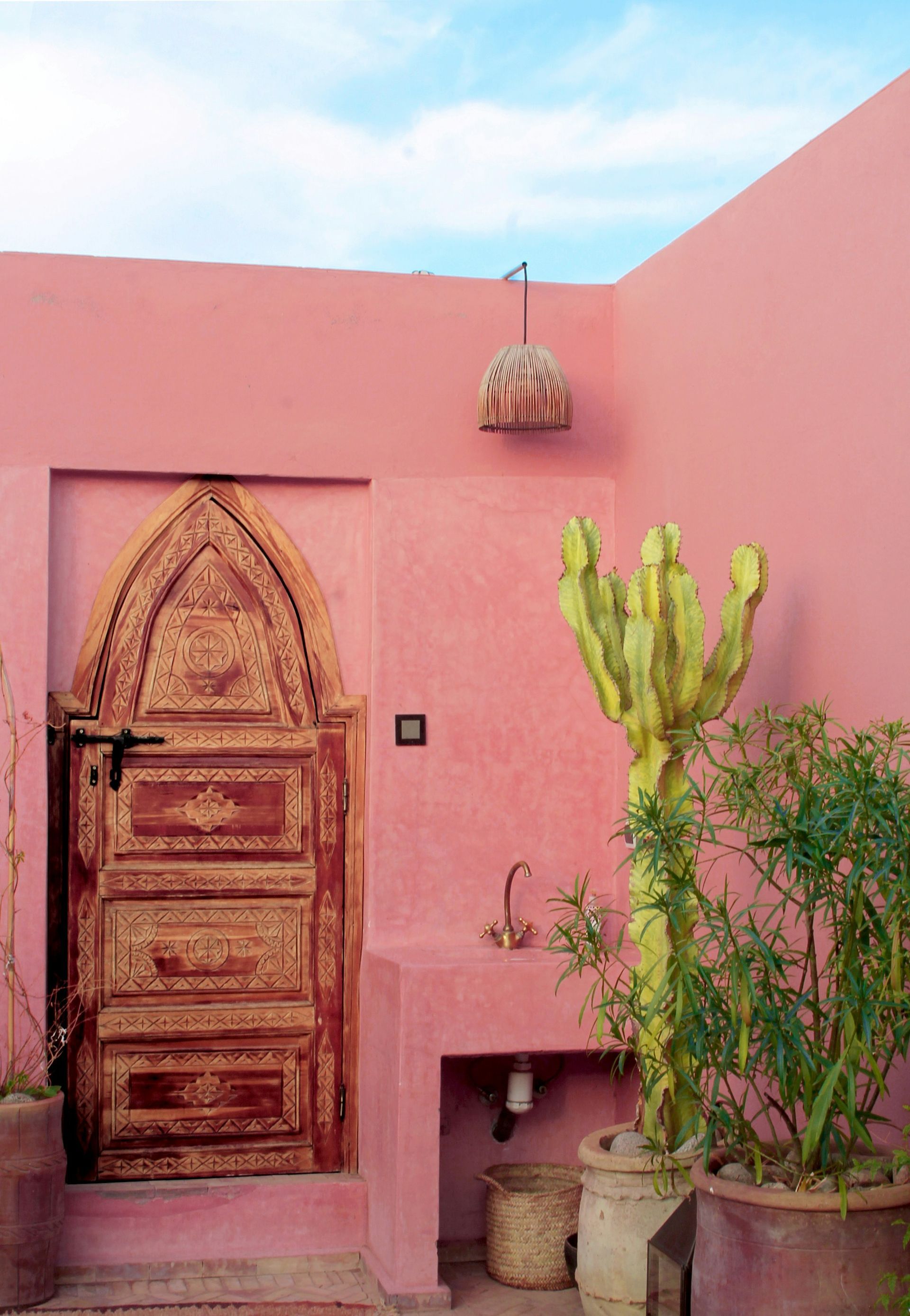 A pink wall with a wooden door and a cactus in Marrakesh, Morocco.