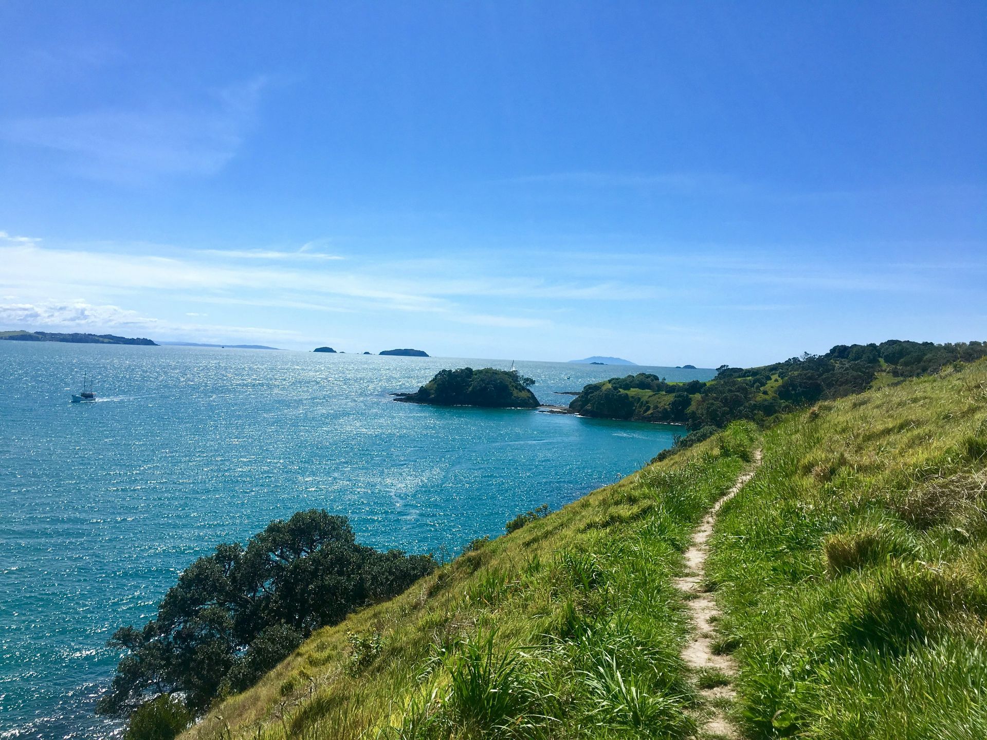 A path leading to the ocean on a sunny day on Waiheke Island, New Zealand.