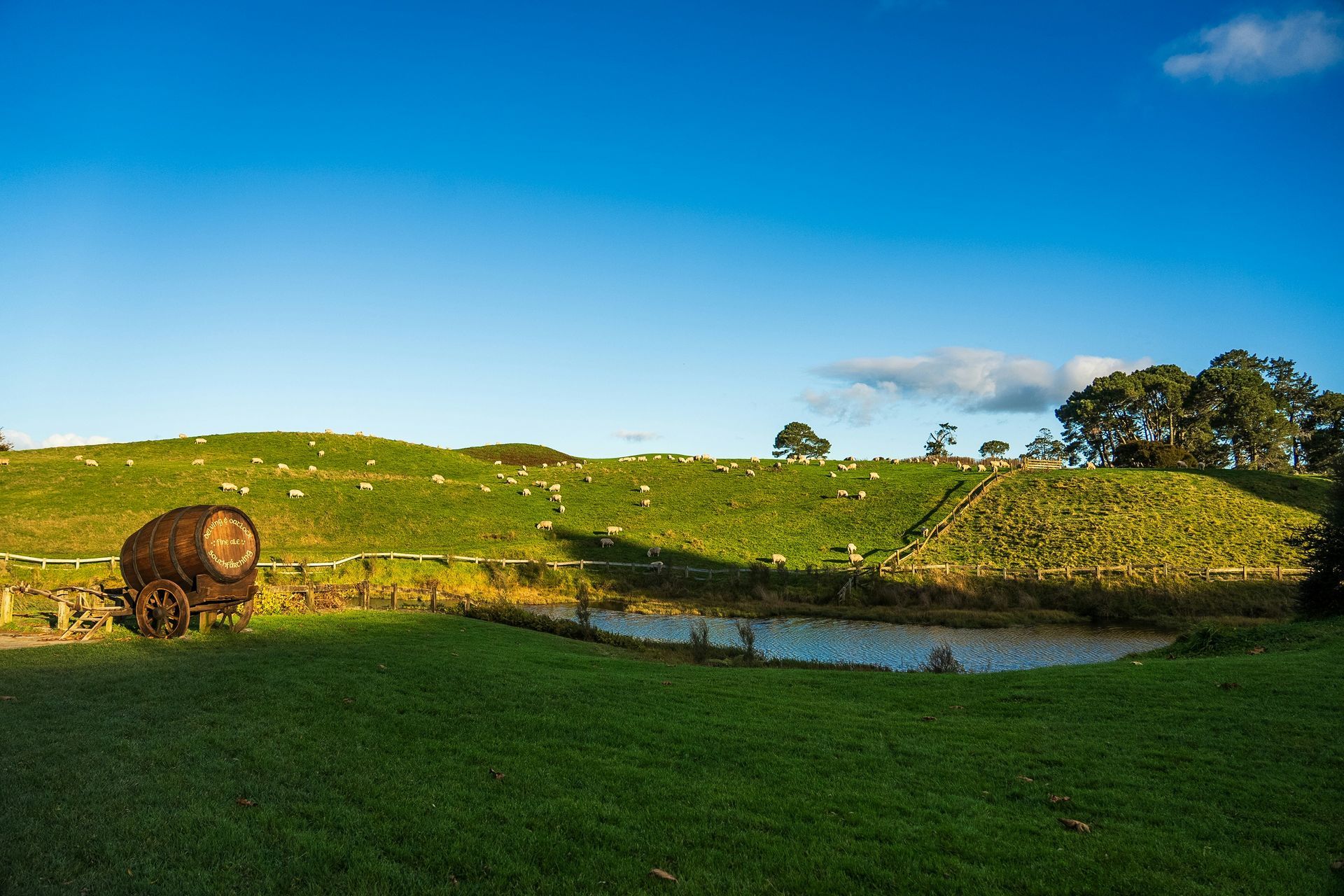 A large barrel is sitting in the middle of a grassy field next to a pond in Matamata, New Zealand.