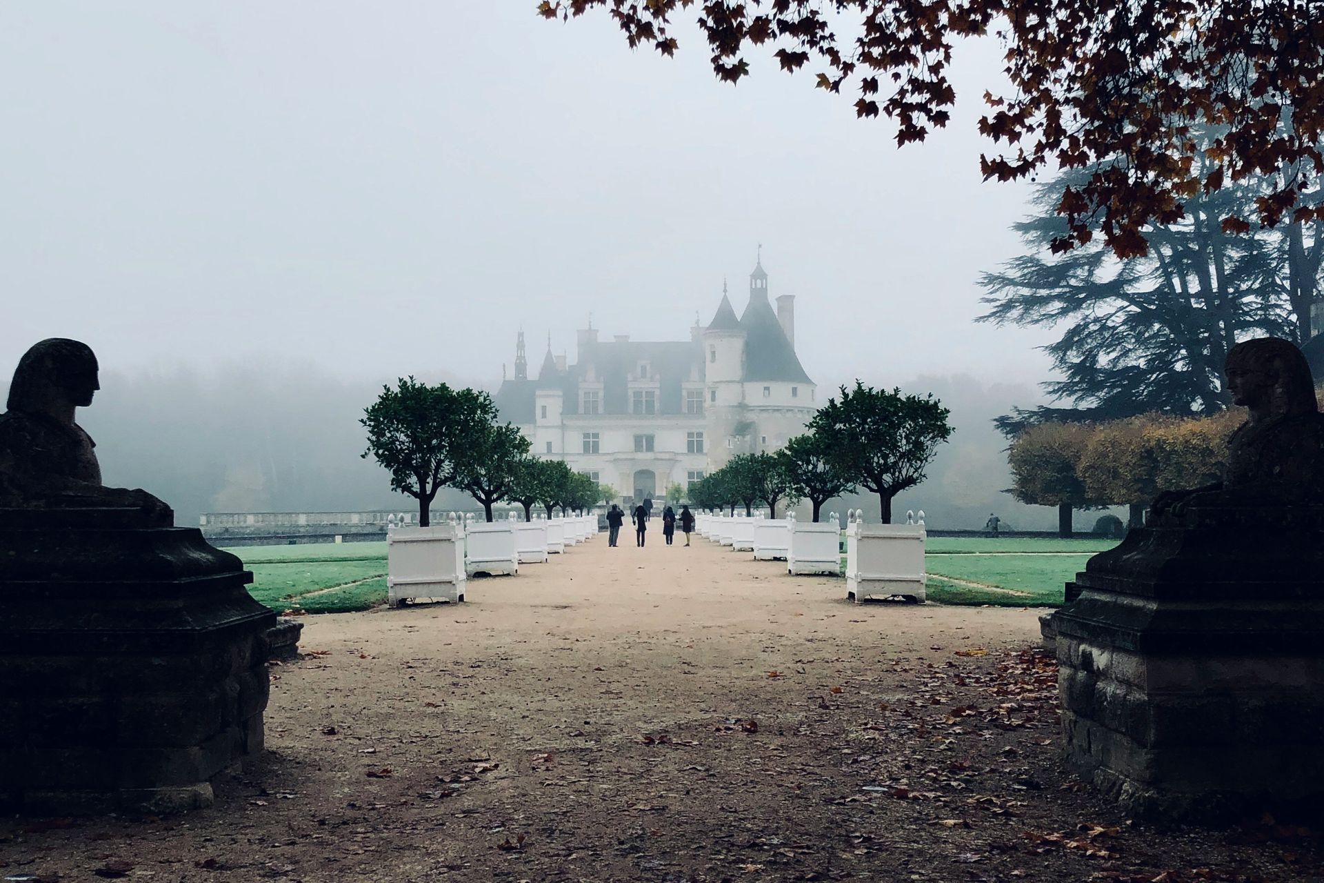 Château de Chenonceau is visible through the fog in the distance in France.