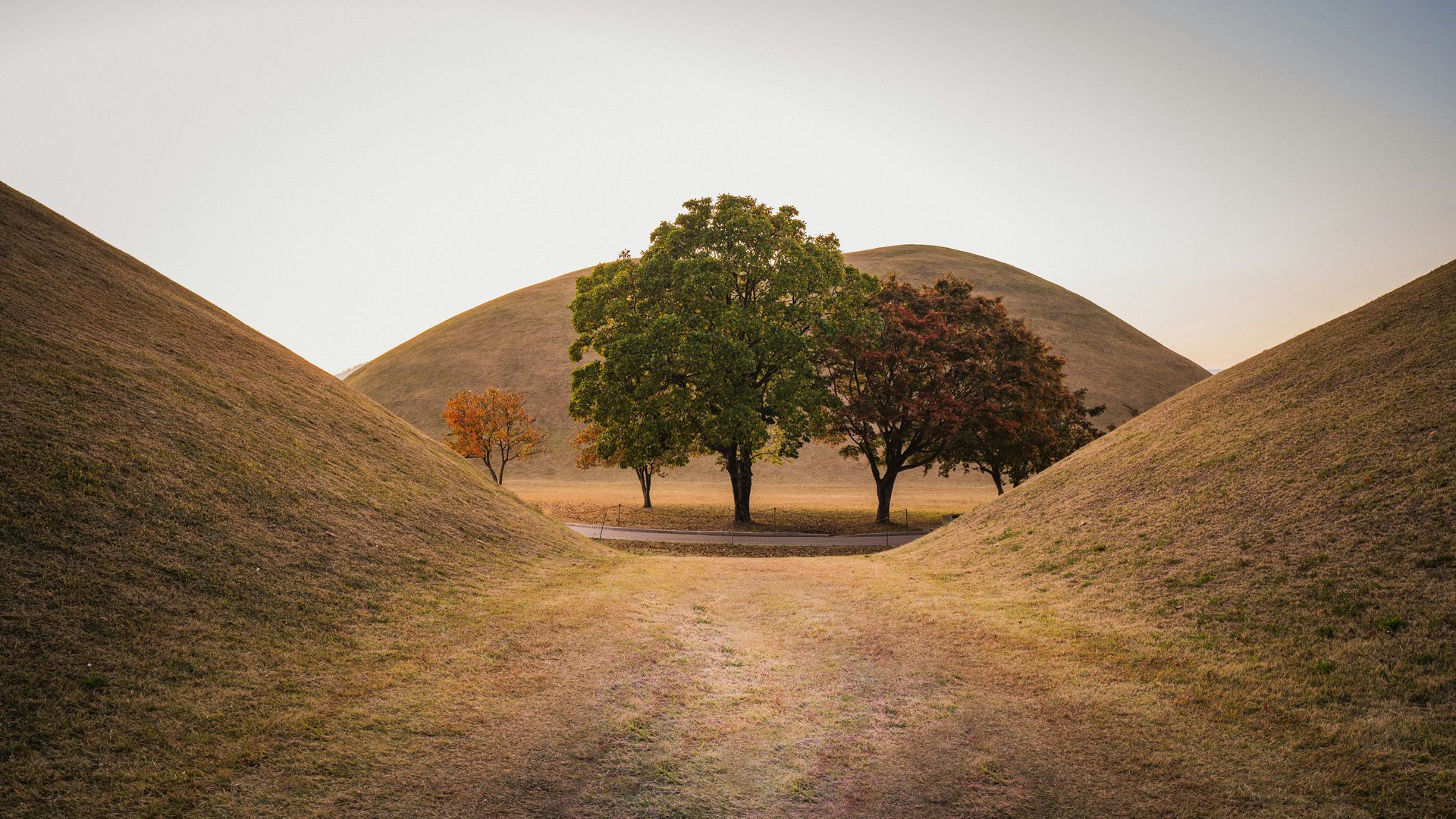 Pathway between ancient burial mounds, trees with autumn foliage in Gyeongju, South Korea.