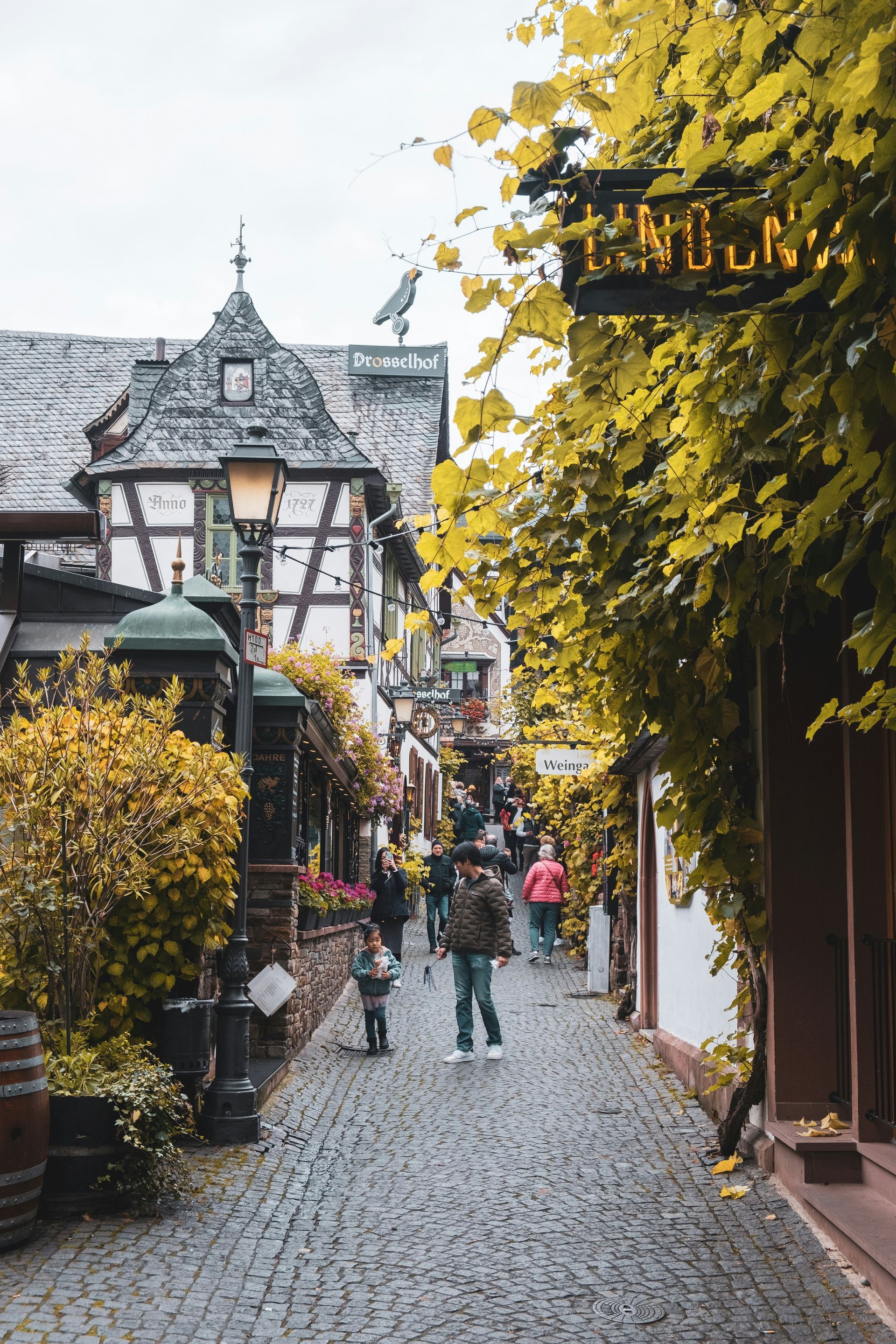 Cobblestone street lined with buildings and vines, people walking in Sankt Goarshausen, Germany.
