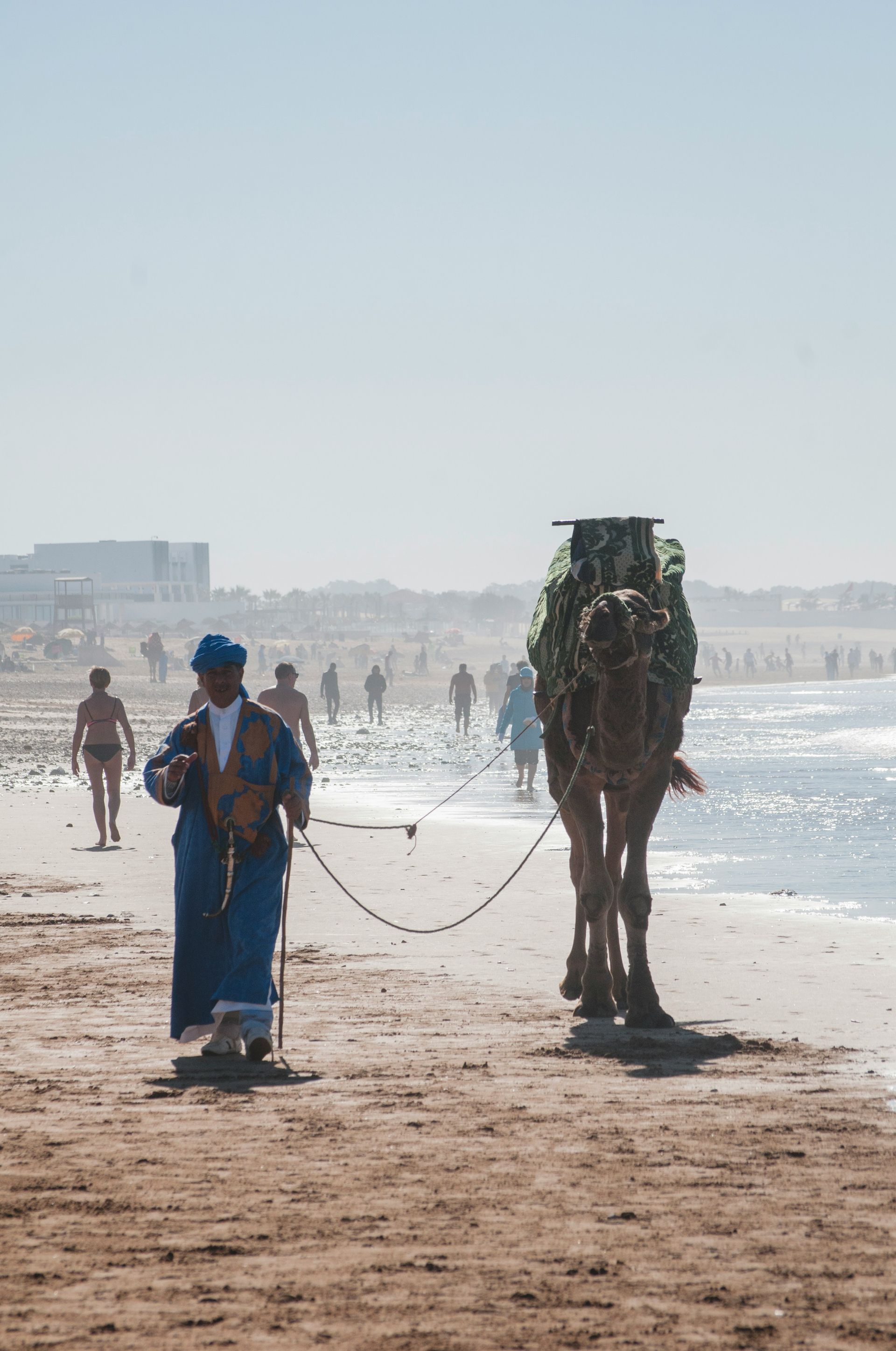 A man is walking a camel on the beach in Taghazout, Morocco.