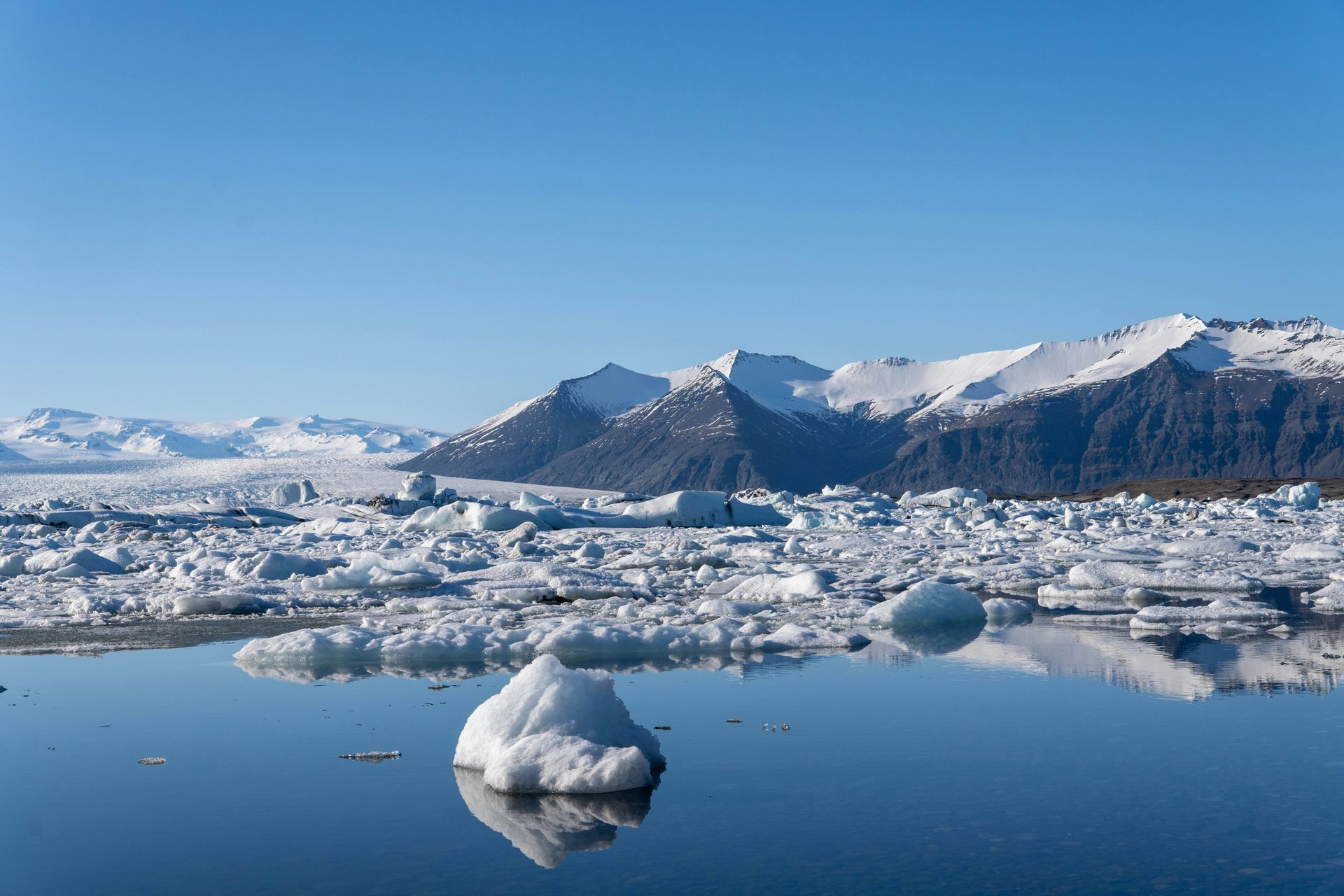 Icebergs float in Jökulsárlón Glacier Lagoon snowy mountains in the background in Iceland.