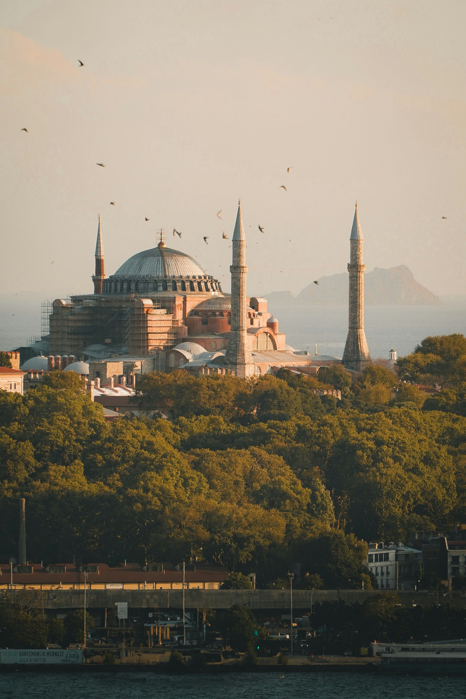 Hagia Sophia in Istanbul, Turkey. A large domed building with minarets, birds flying overhead, set against a warm, sunny sky.