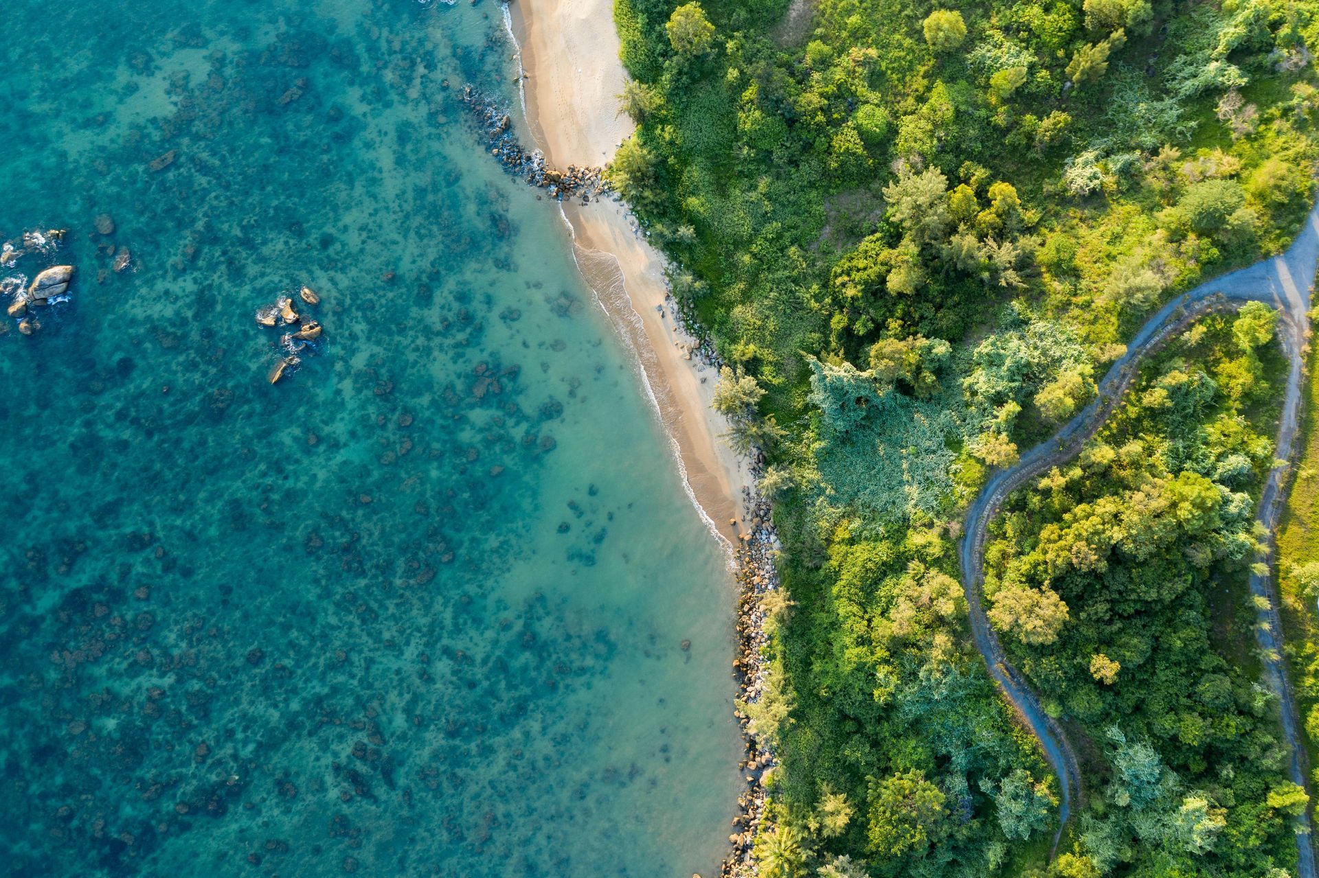 Aerial view of coastline with teal water, sandy beach, and lush green forest. A winding road is visible, in Da Nang, Vietnam.