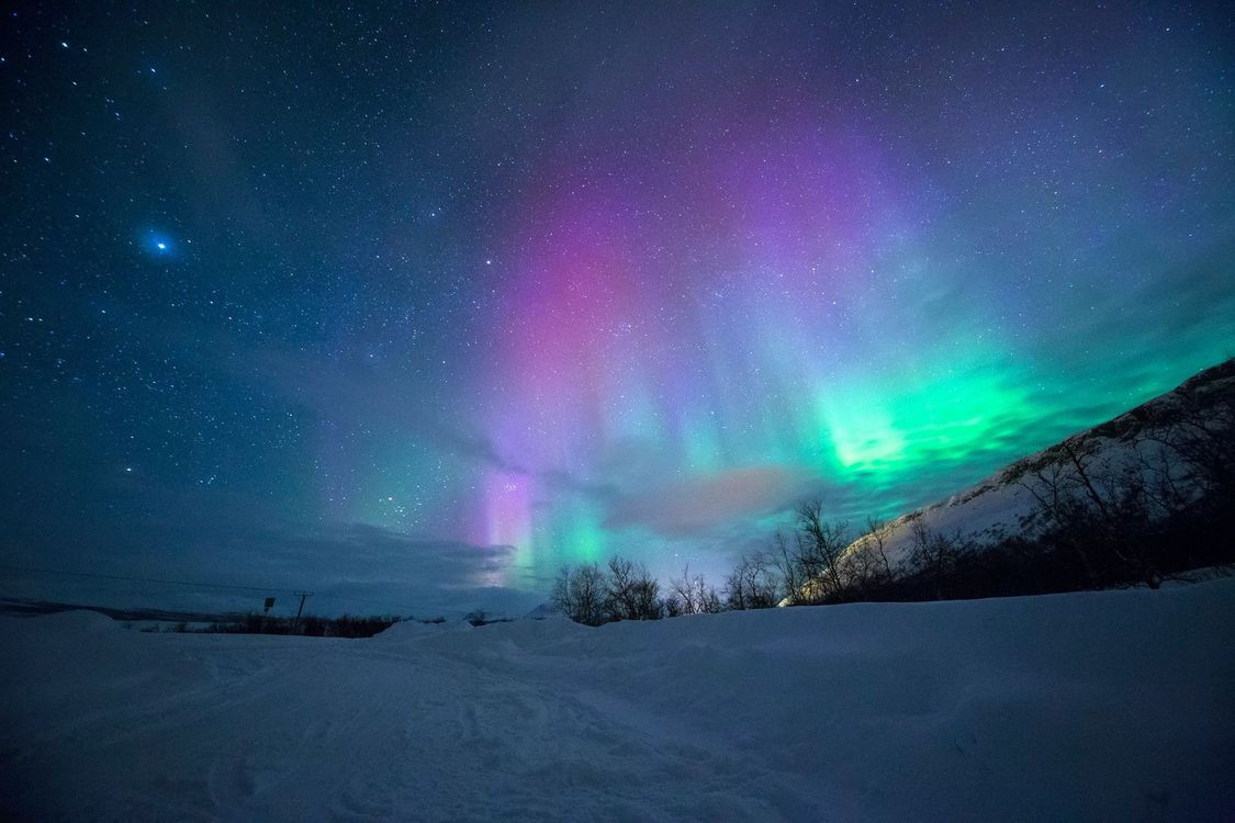 The aurora borealis is glowing in the night sky over a snowy field.