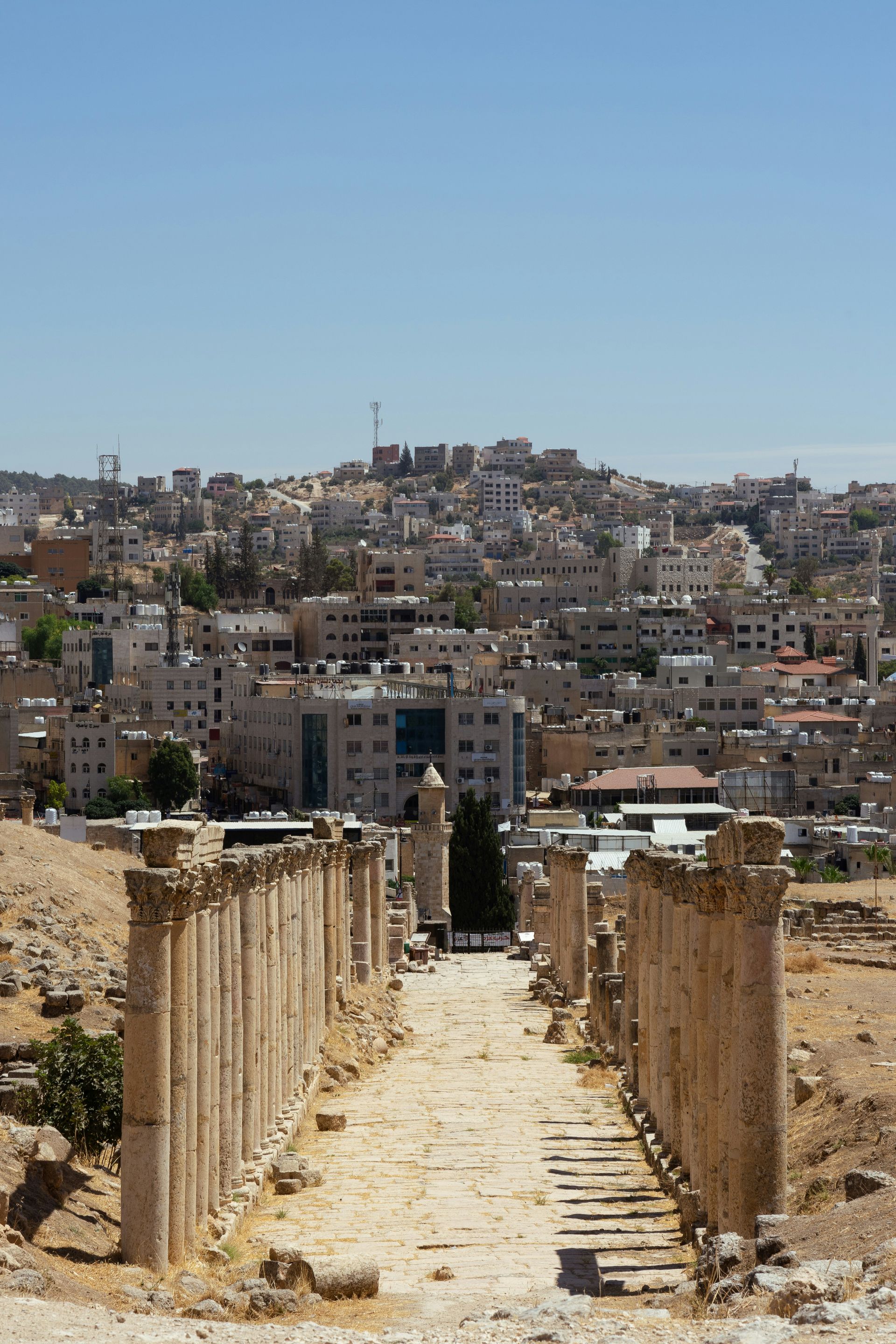 Stone columns line a pathway towards the city of Jerash, Jordan. Buildings dot the hillside under a blue sky.