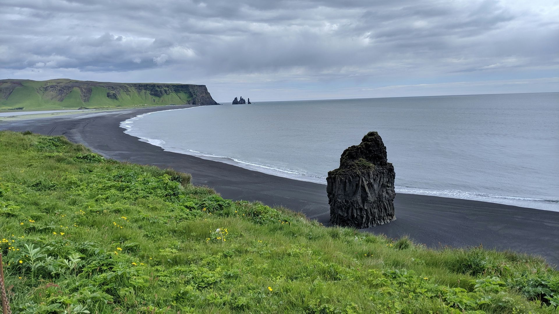 Reynisfjara Beach with sea stack, green vegetation, and overcast sky in Iceland.