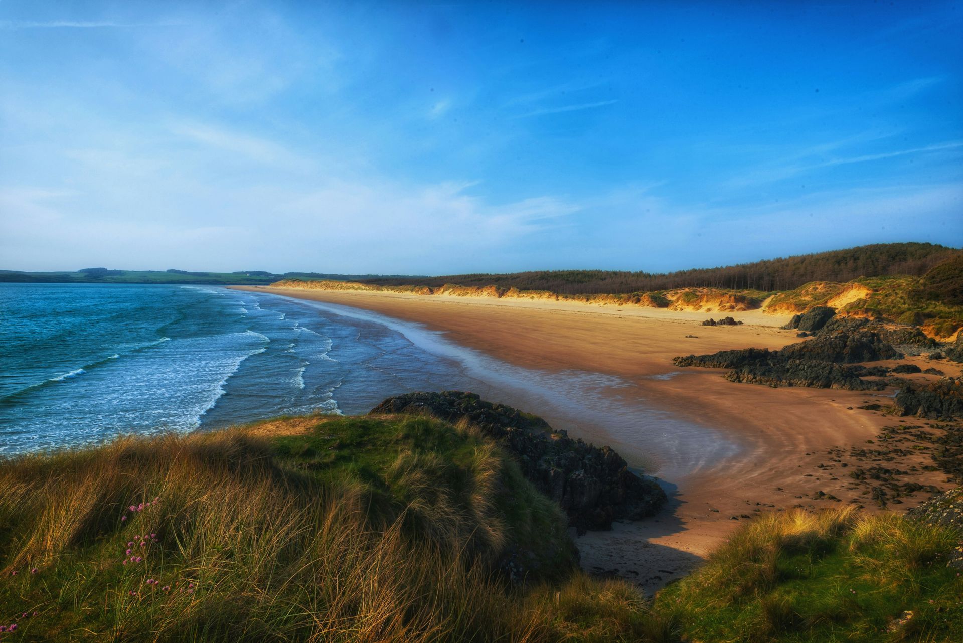 Beach with golden sand, blue ocean, and green grassy cliffs under a bright blue sky in Anglesey, Wales