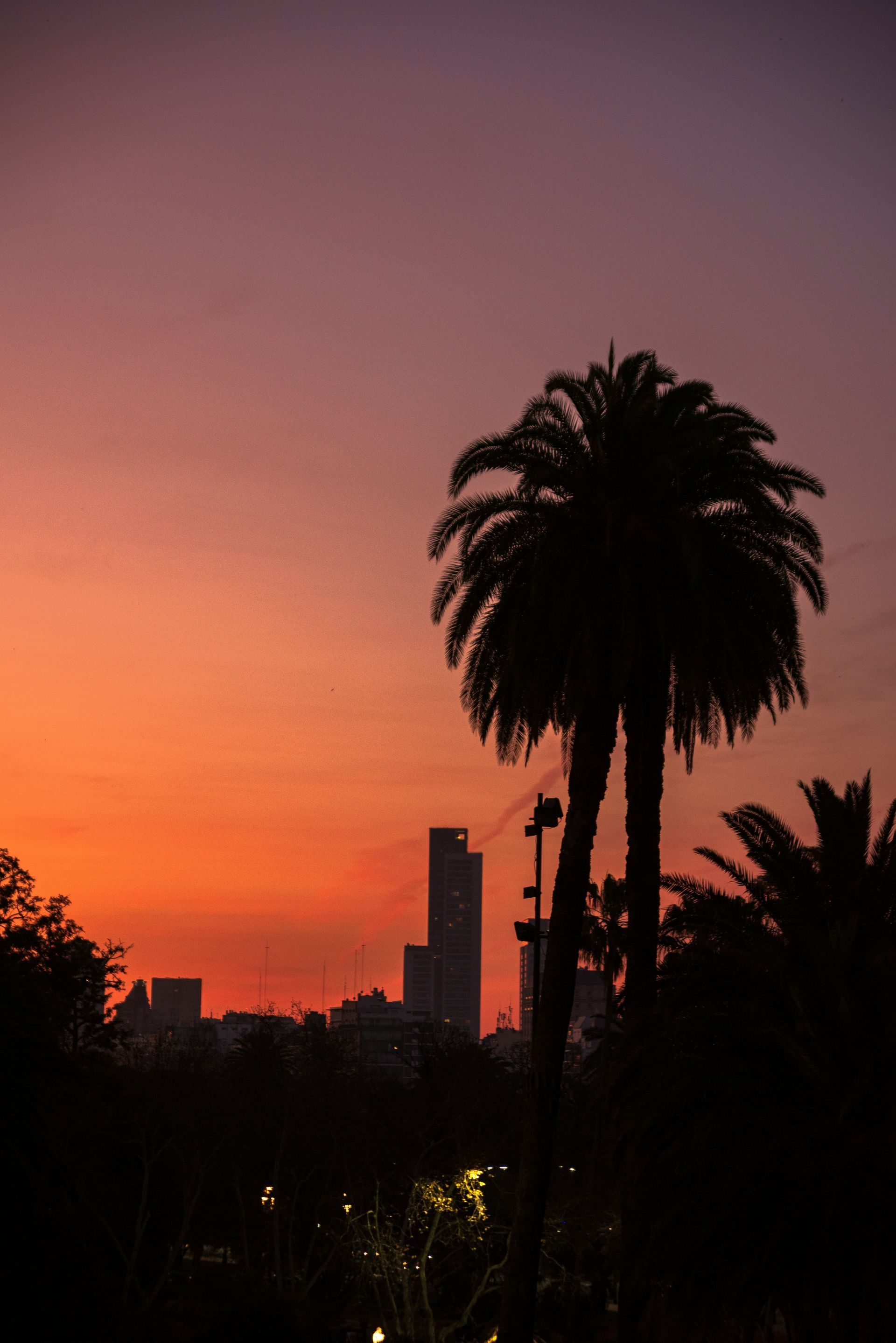 Silhouette of palm trees and city buildings against a vibrant orange and purple sunset in Buenos Aires, Argentina.