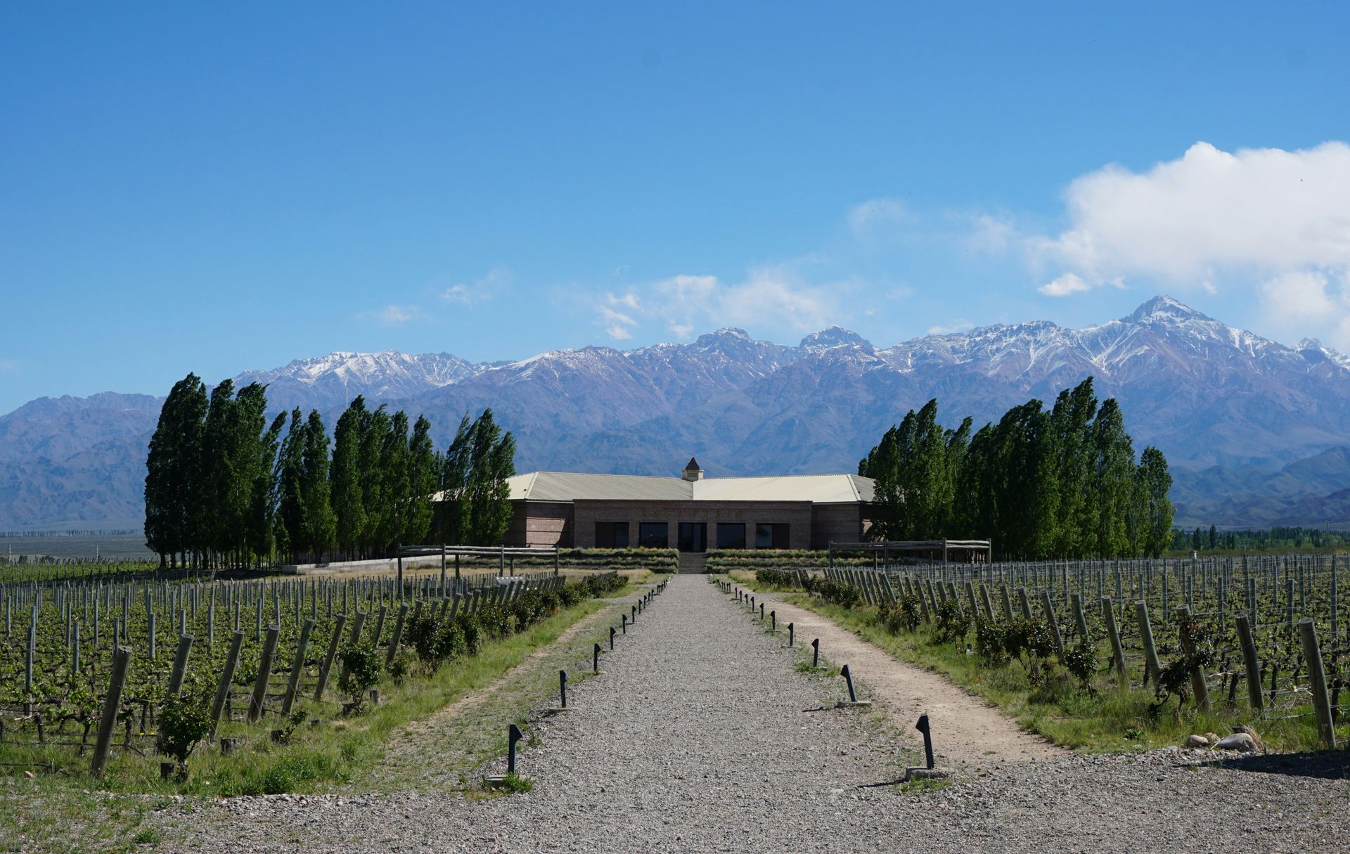Vineyard with a building at its center, surrounded by rows of vines, mountains in the background in Mendoza, Argentina.
