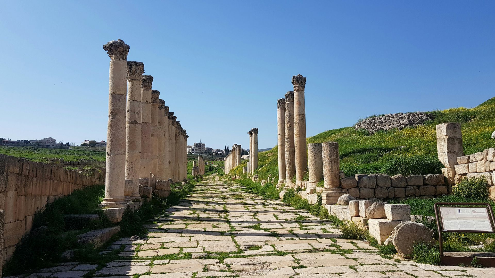 Ancient stone colonnade along a paved road with green vegetation under a blue sky in Jerash, Jordan.
