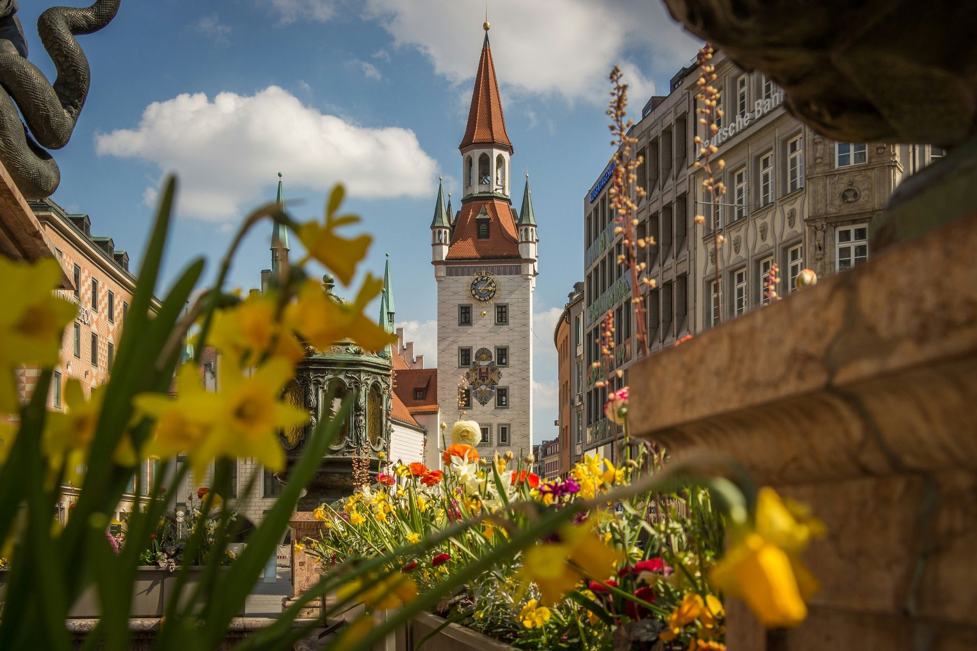 Tower with red roof in Munich, framed by yellow daffodils and buildings.