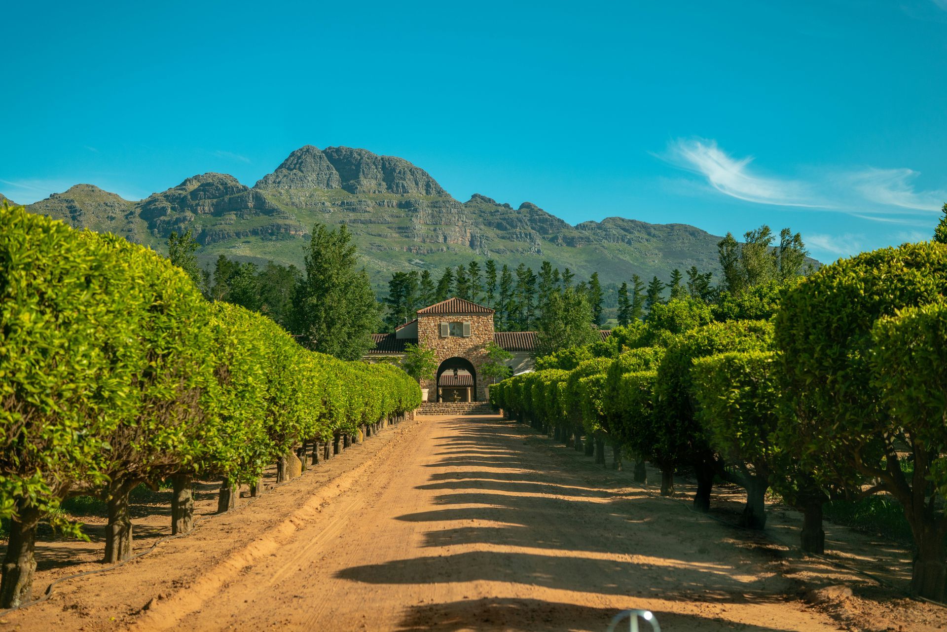 A tree-lined dirt road leads to a stone archway of a vineyard, with a mountain behind it in Stellenbosch, South Africa.