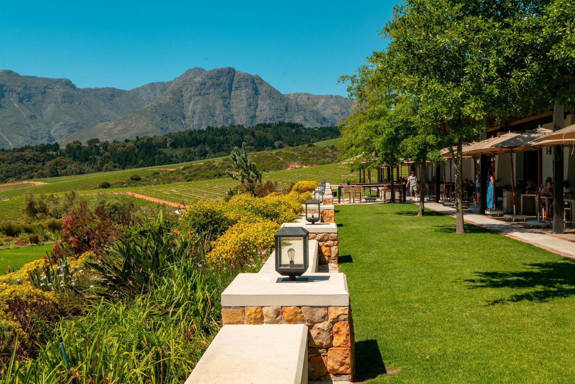 Lush green landscape with a low stone wall, patio, with a vineyard and mountain view in Stellenbosch, South Africa.