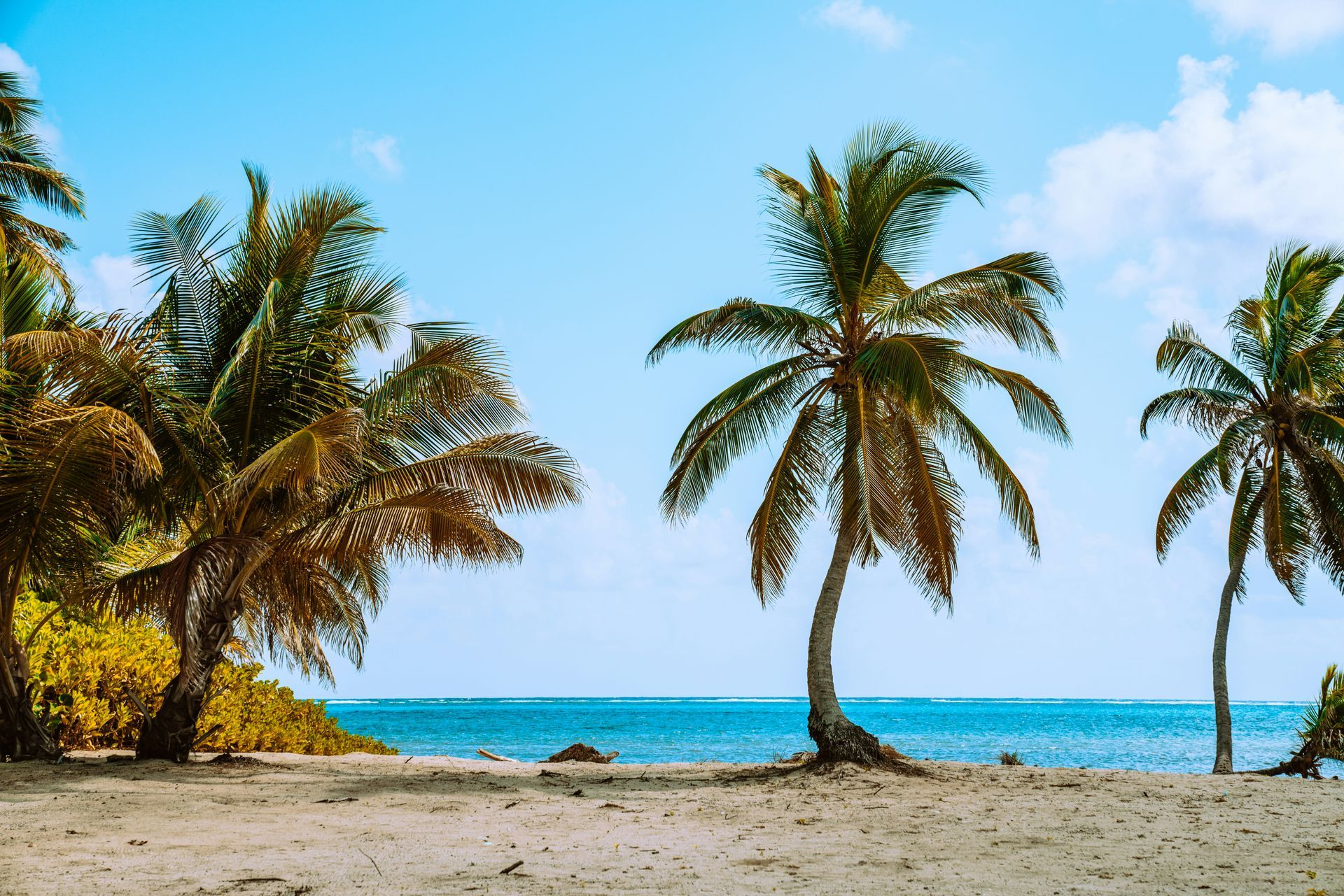Sandy beach with palm trees, turquoise ocean, and blue sky in Ambergris Caye, Belize.