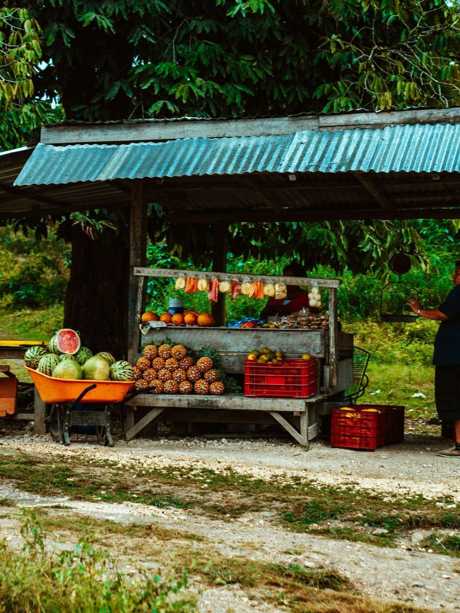 Fruit stand under a corrugated roof in a rural setting. Watermelons in a wheelbarrow, pineapples stacked, and a person on the right in Belize.