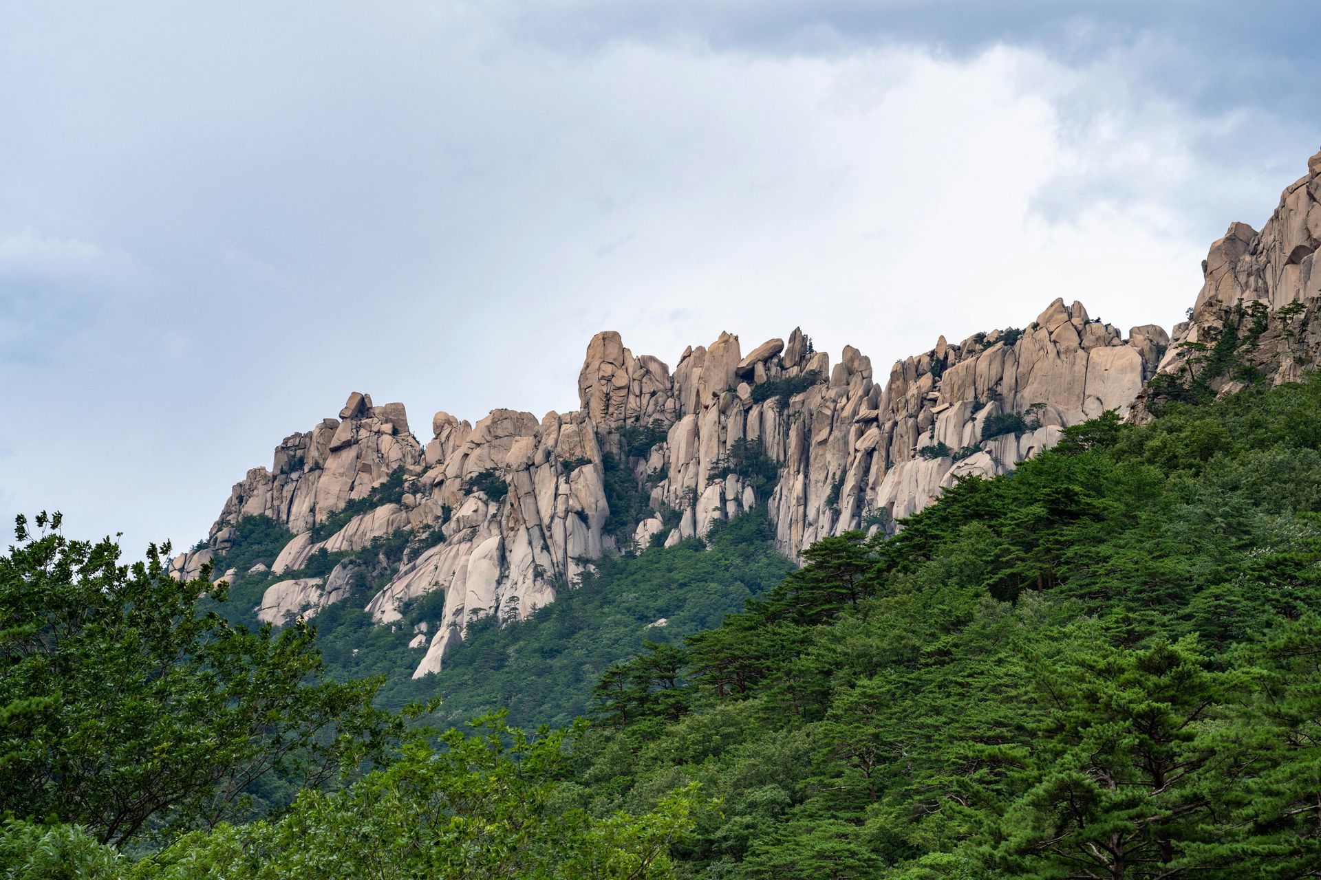 Jagged, light-colored mountain peaks rise above a lush green forest in Seoraksan National Park, South Korea.