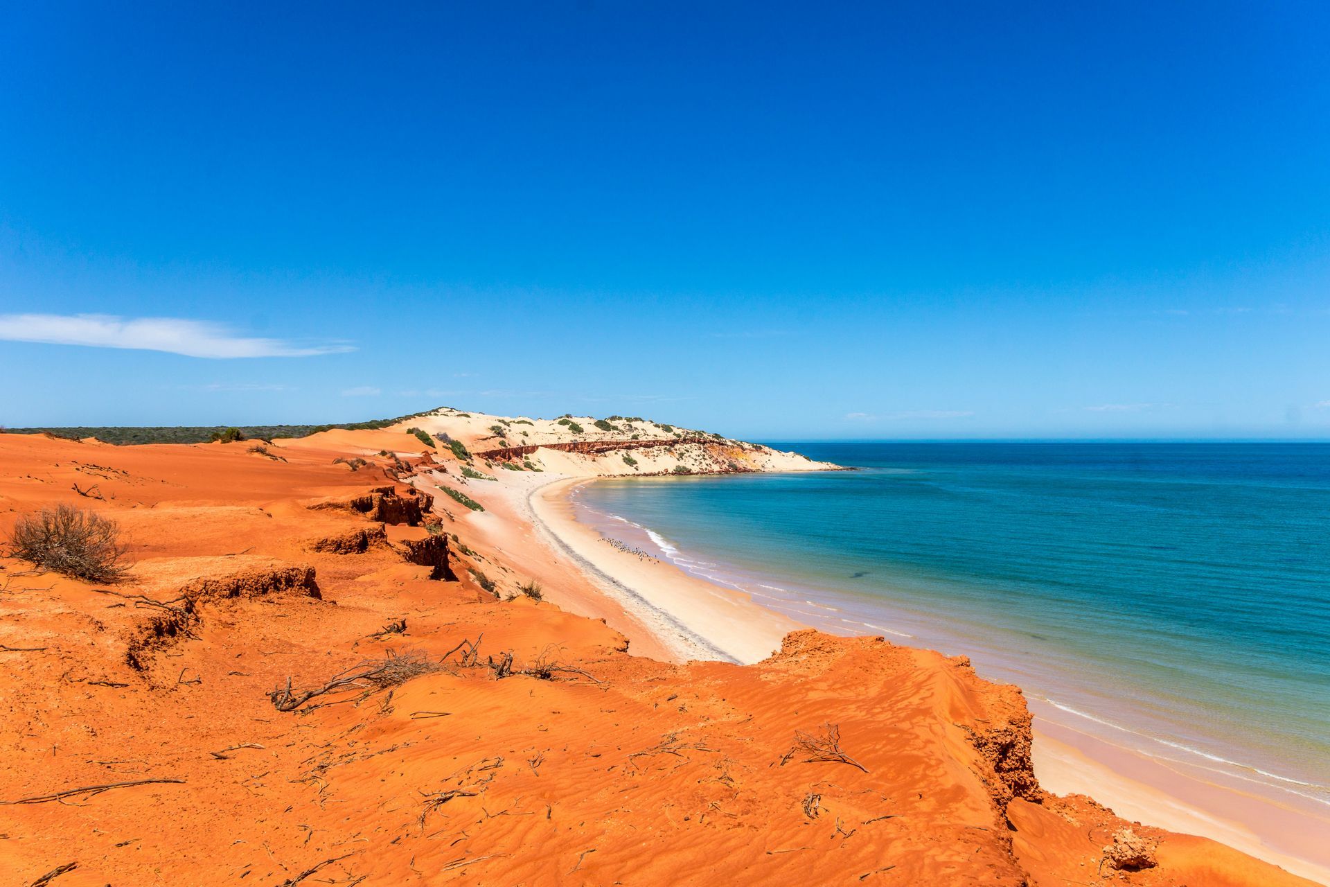 A view of a beach from the top of a cliff in Western Australia.