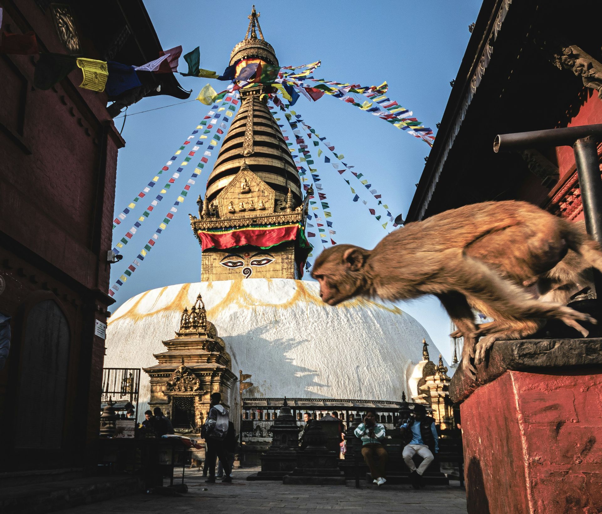 Monkey at Swayambhunath Stupa, Kathmandu, Nepal. The golden spire and white dome tower over the animal. People are present.
