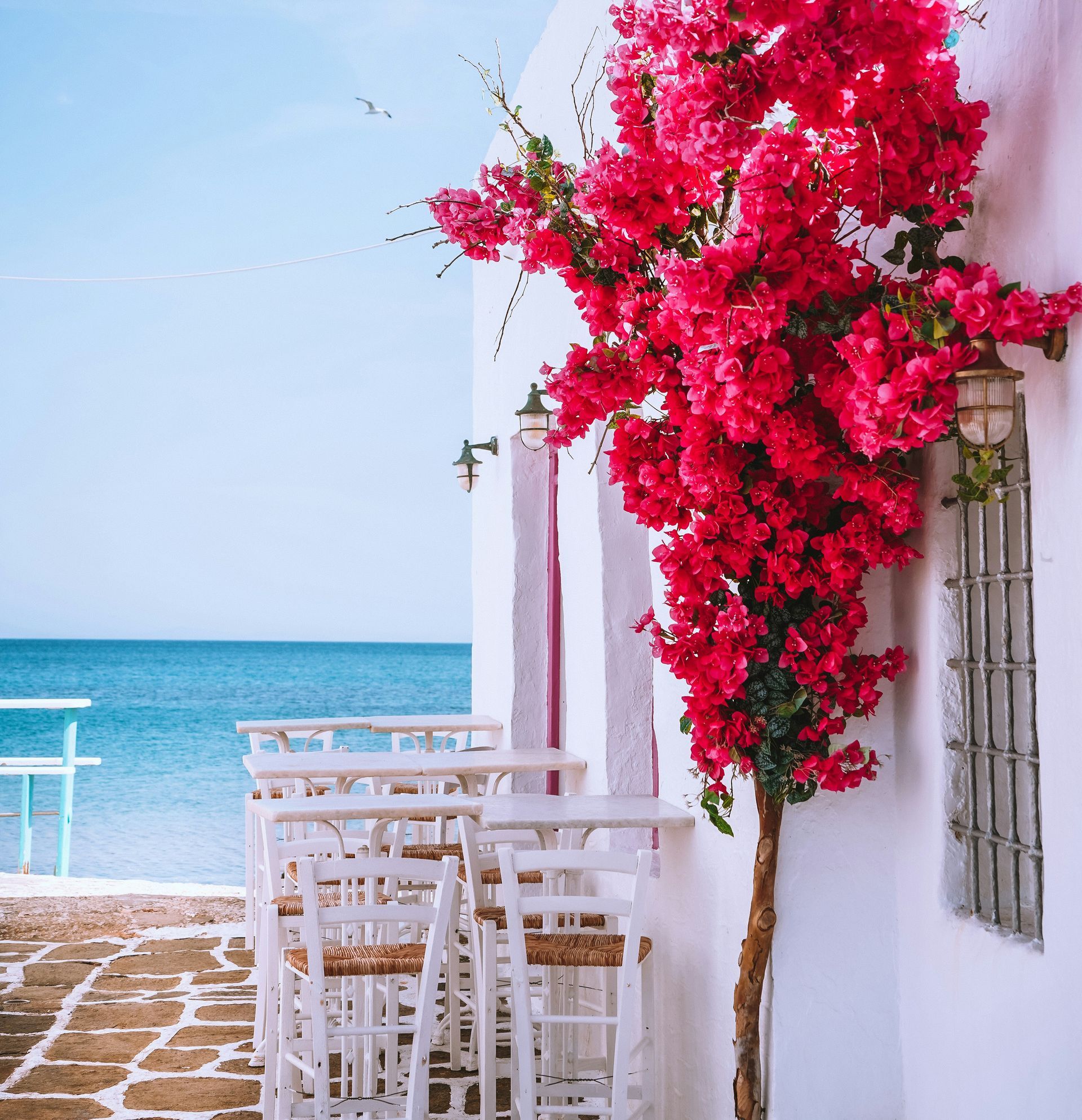 A white building with pink flowers on the side of it in Paros, Greece.