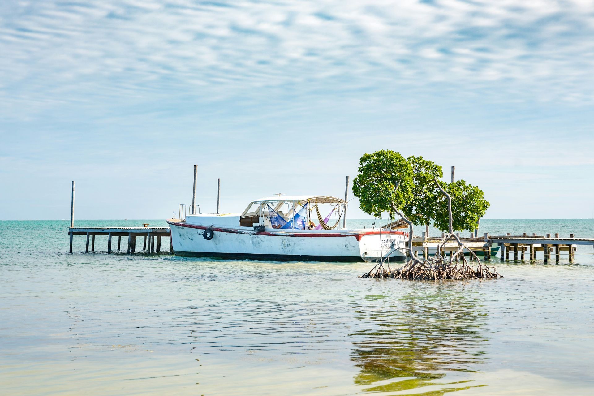 A white boat docked on a wooden pier in shallow, clear water. A small tree grows near the pier in Caye Caulker, Belize.