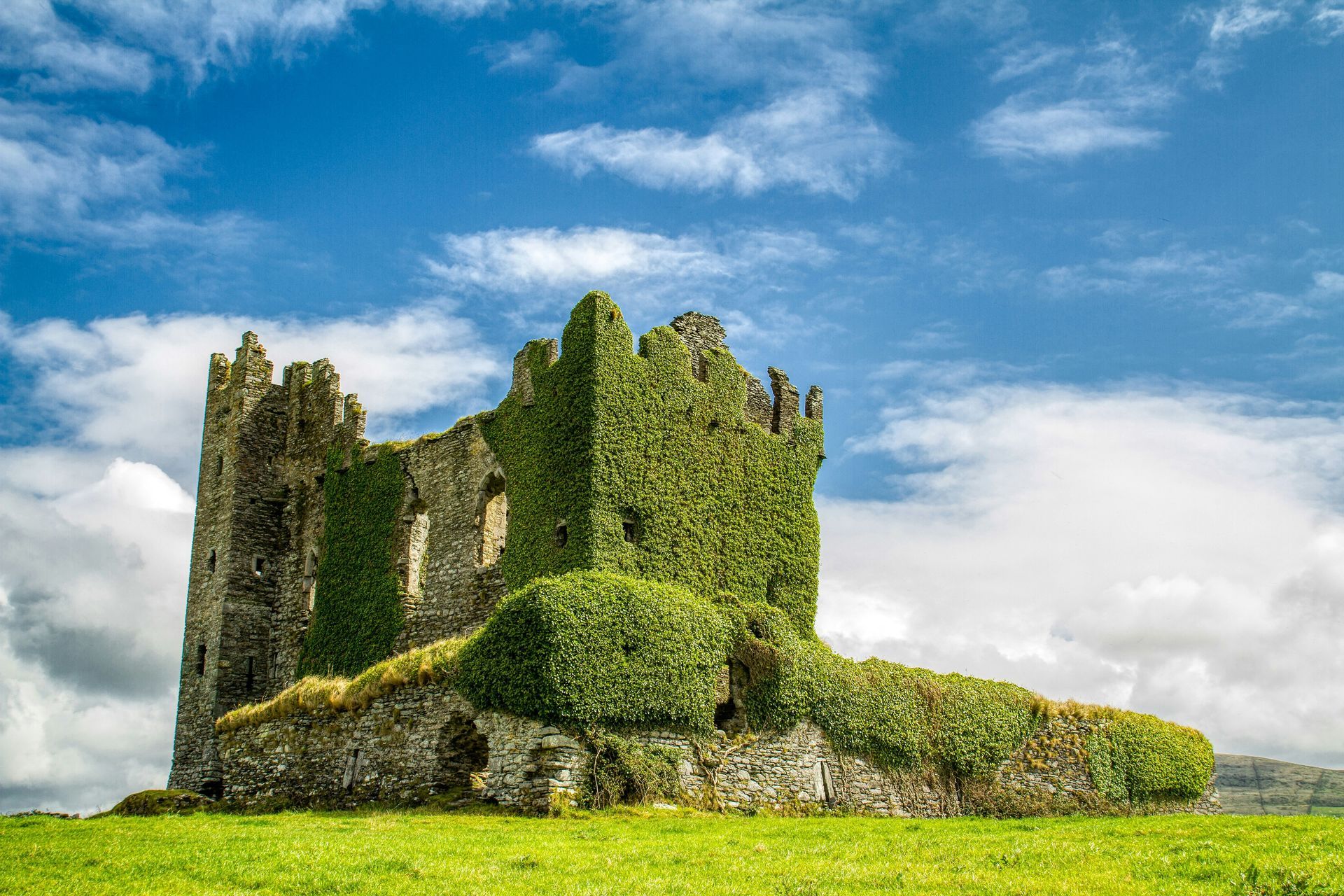 Ruined stone castle covered in green ivy on the Ring of Kerry, Ireland.