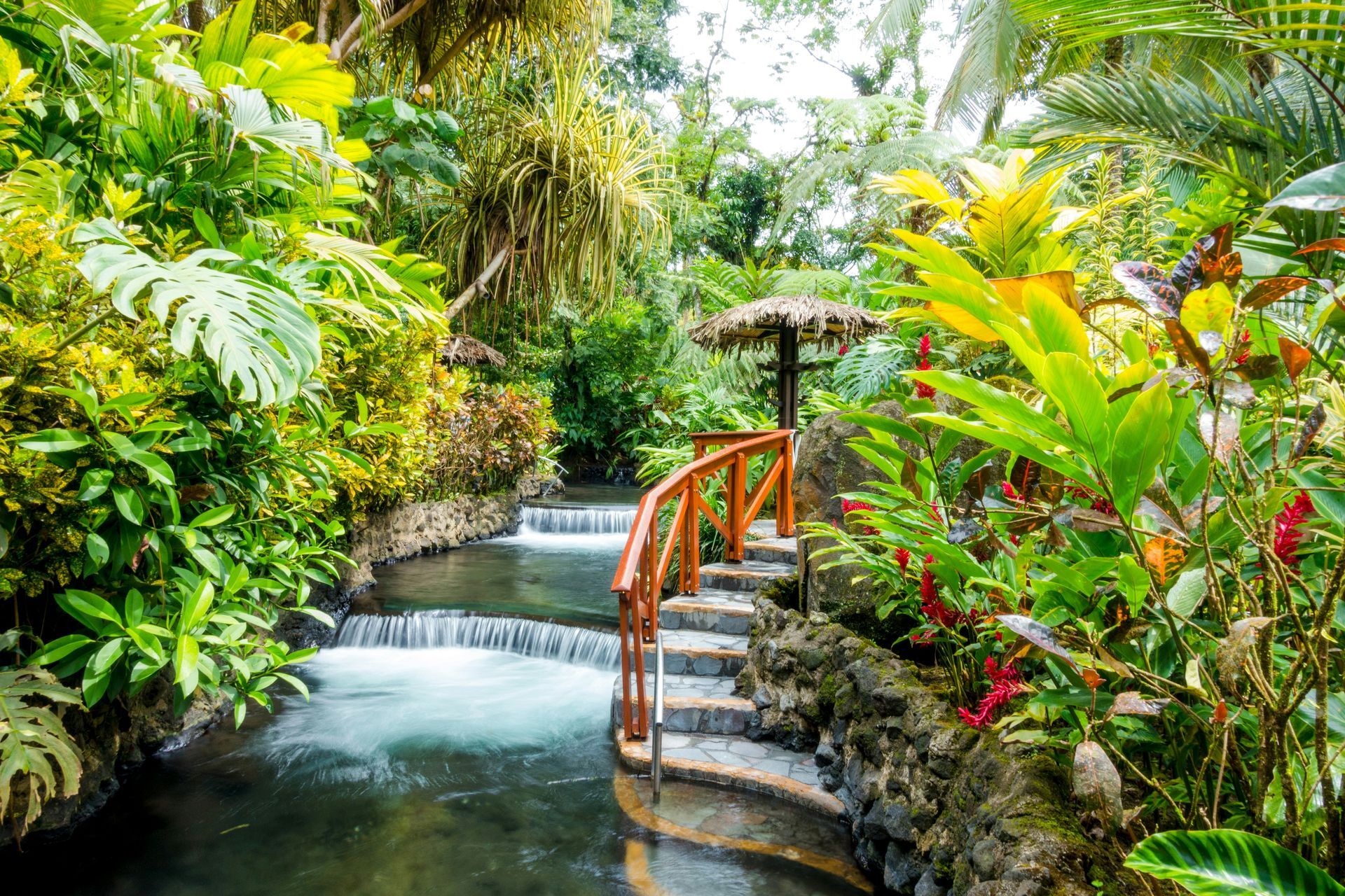 A lush tropical scene featuring a stream with waterfalls and a wooden bridge surrounded by vibrant green vegetation at the Tabacon Hot Springs, Costa Rica.