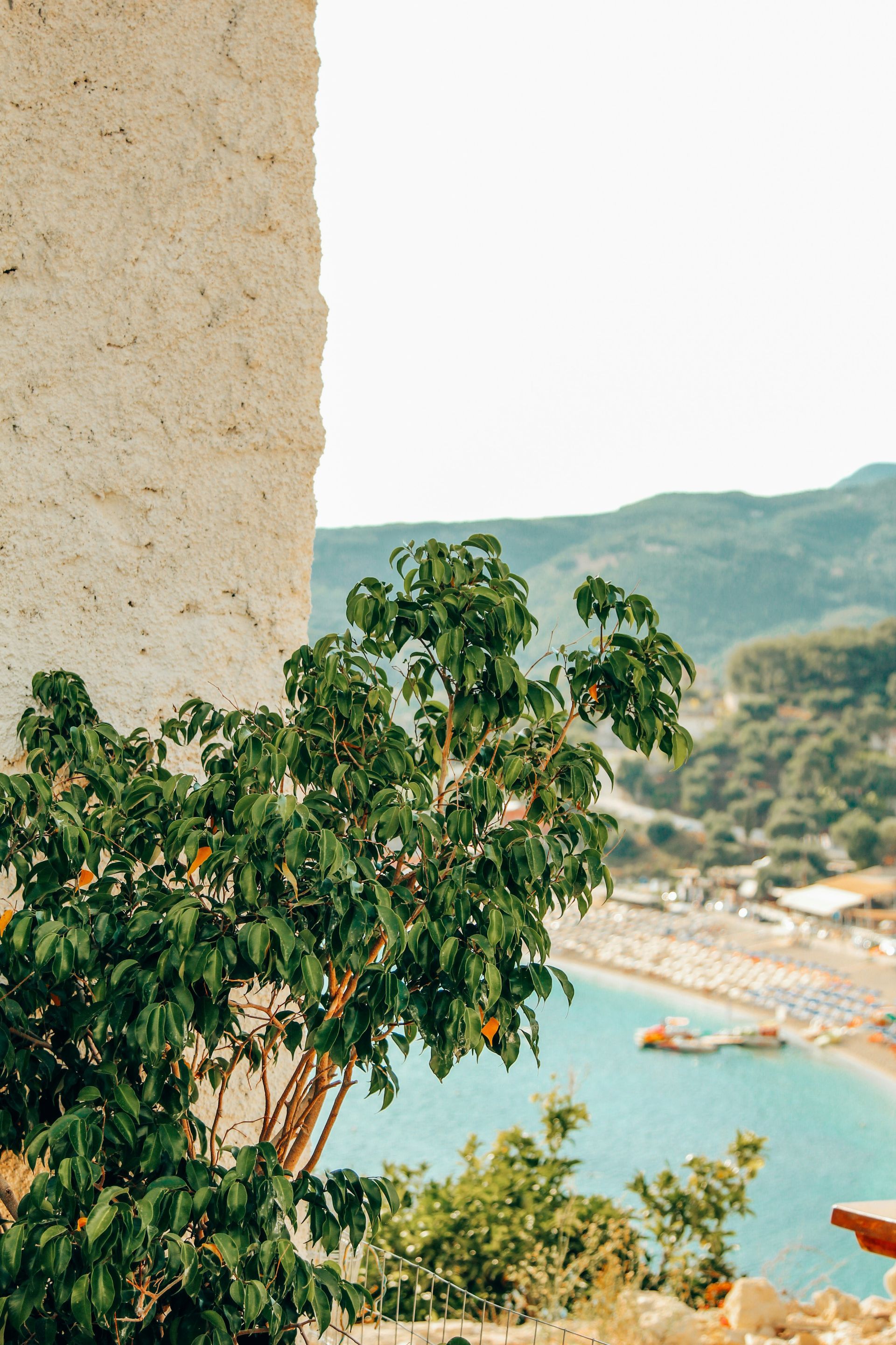A tree is growing next to a building overlooking the beach in Parga, Greece.