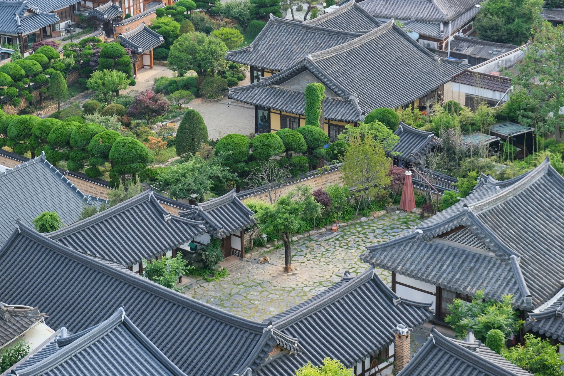 Overhead view of a traditional village of Jeonju Hanok with gray tiled roofs, lush greenery, and gardens in South Korea. 