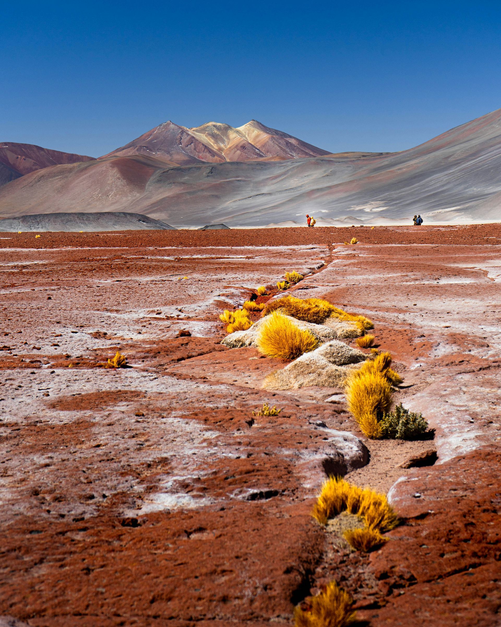 Red desert landscape with mountains in the background and a small stream with yellow vegetation in the Atacama Desert, Chile.