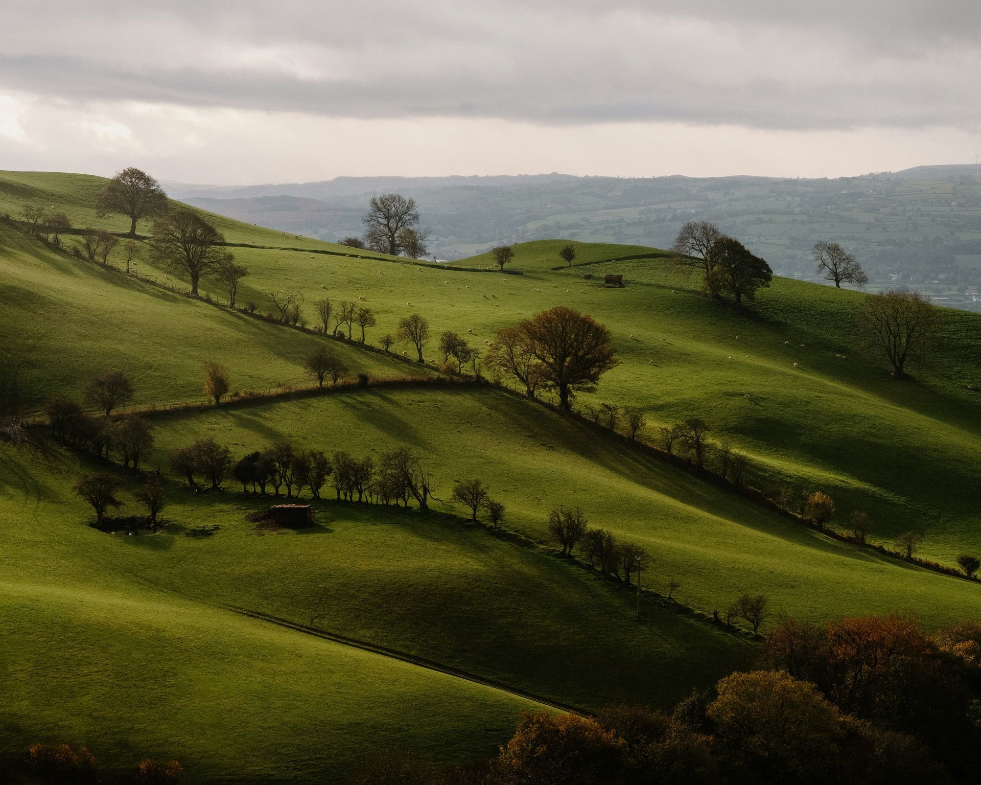 Rolling green hills dotted with trees under a cloudy sky in Snowdonia, Wales.
