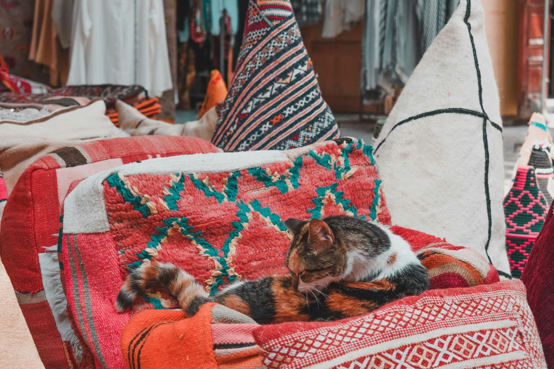 A cat is laying on a colorful blanket on a chair in Essaouira, Morocco.