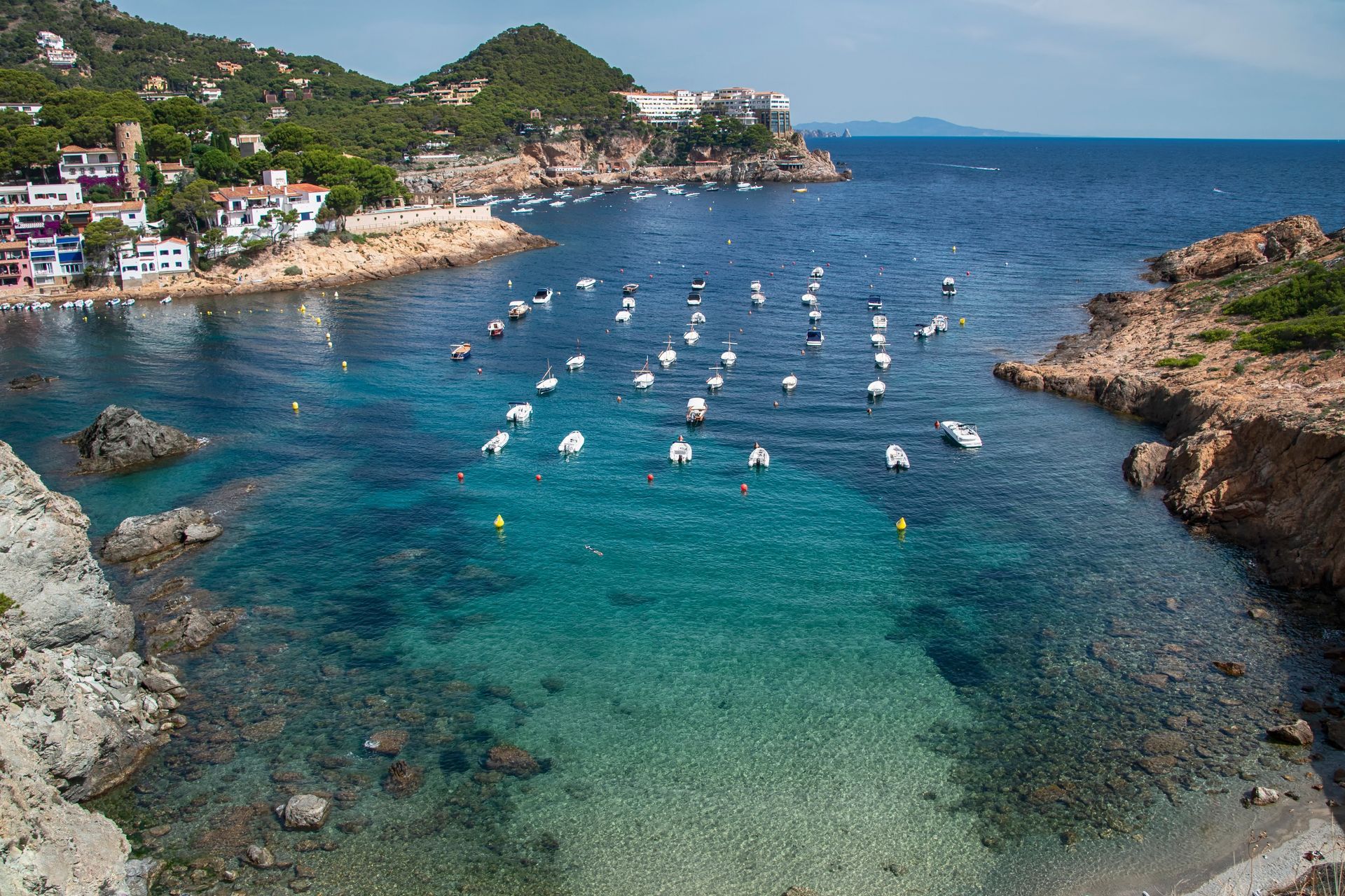 There are many boats in the water near the shore.