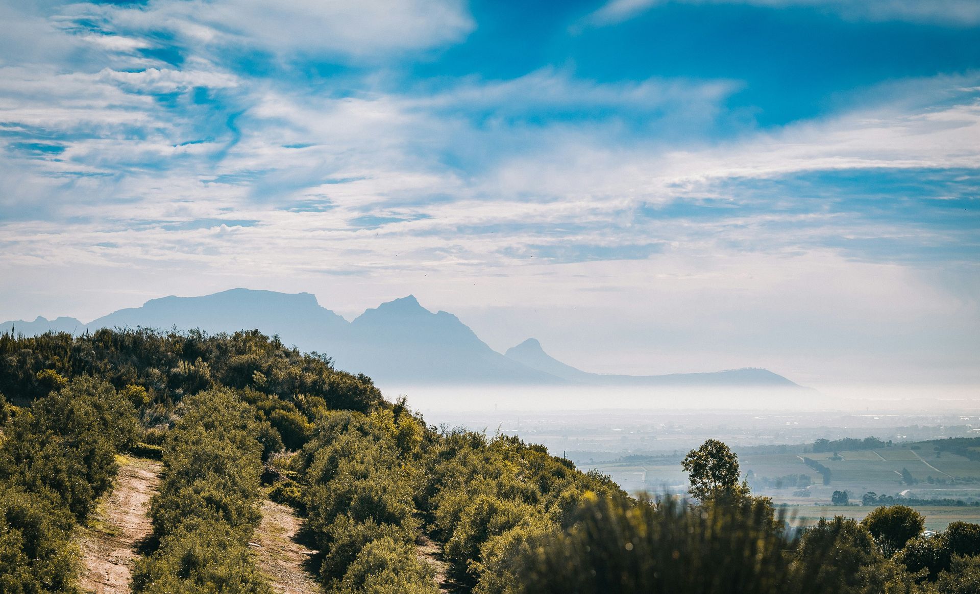 Green crop-filled hills leading to a mountainous landscape in Stellenbosch, South Africa.