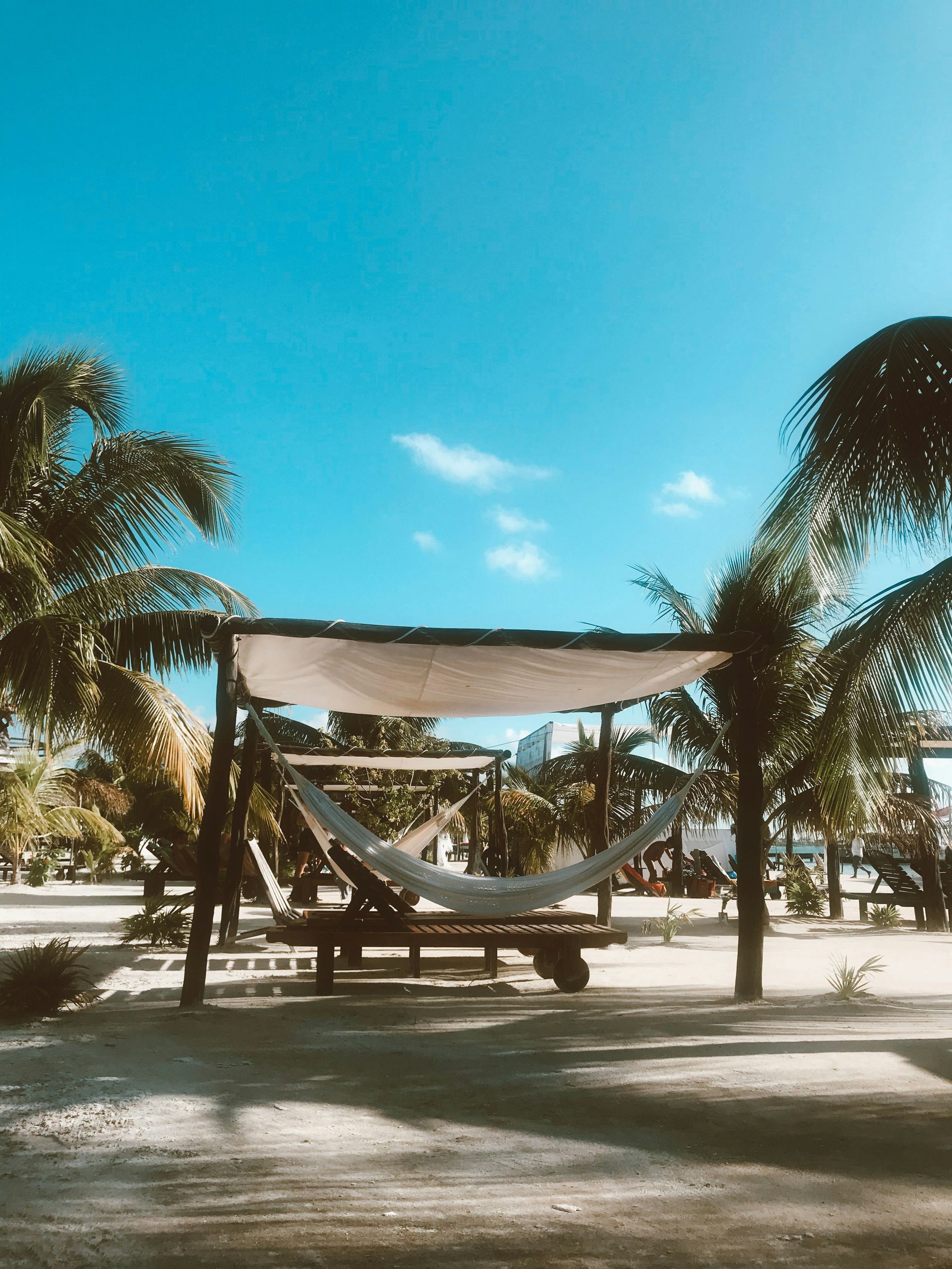 Hammock under a canopy on a beach with palm trees against a bright blue sky in Caye Caulker, Belize.