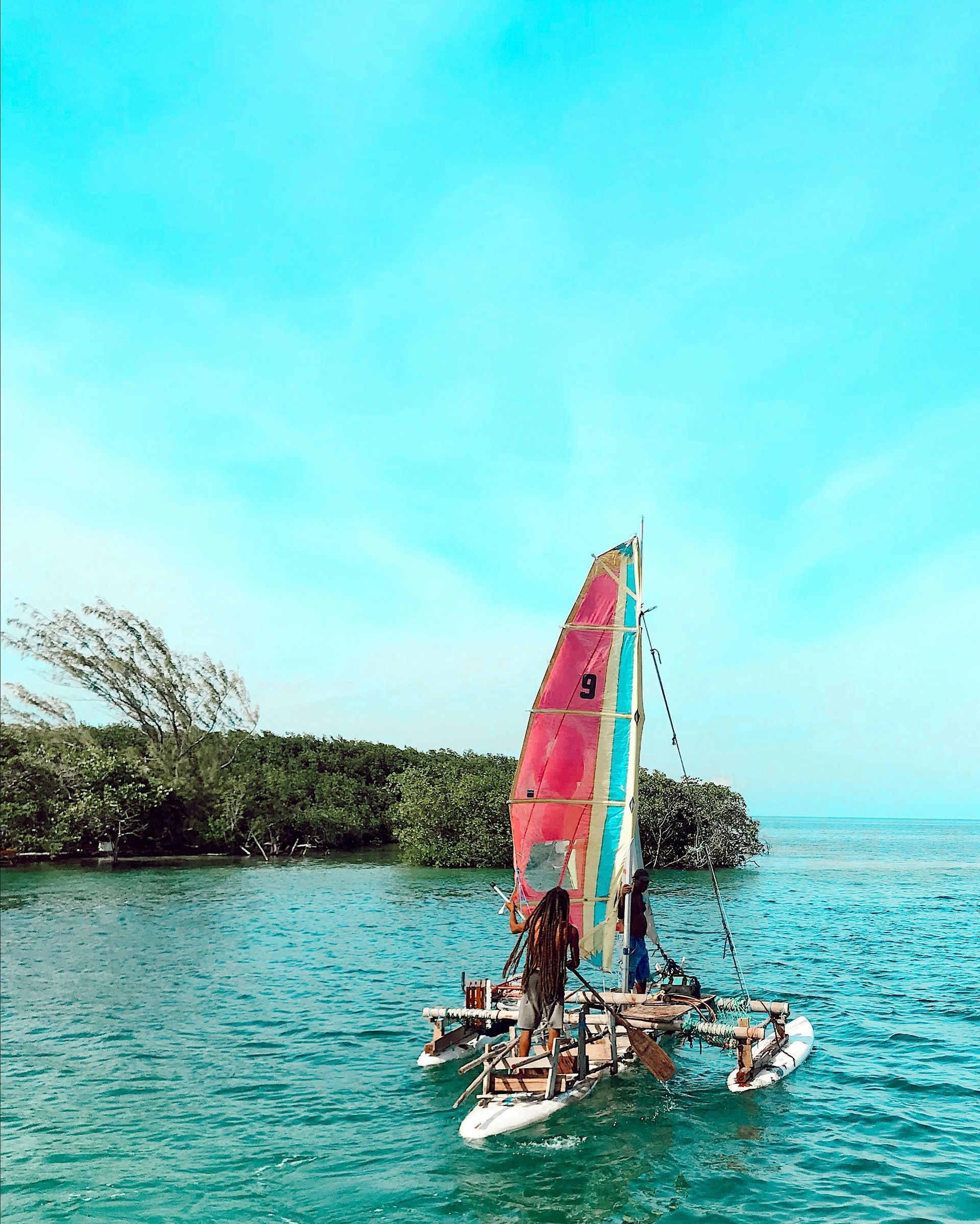 A catamaran sailboat with a colorful sail glides across turquoise water. Lush greenery lines the shore in Caye Caulker, Belize.