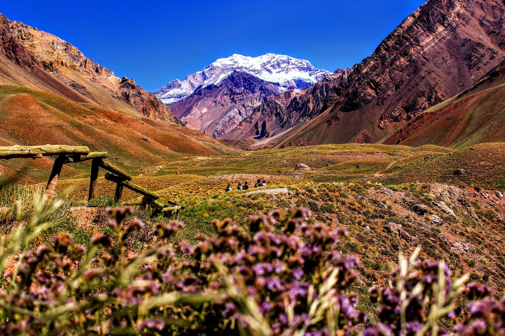 Mountain range landscape with snowy peak, valley, wildflowers, and a wooden fence in Mendoza, Argentina.