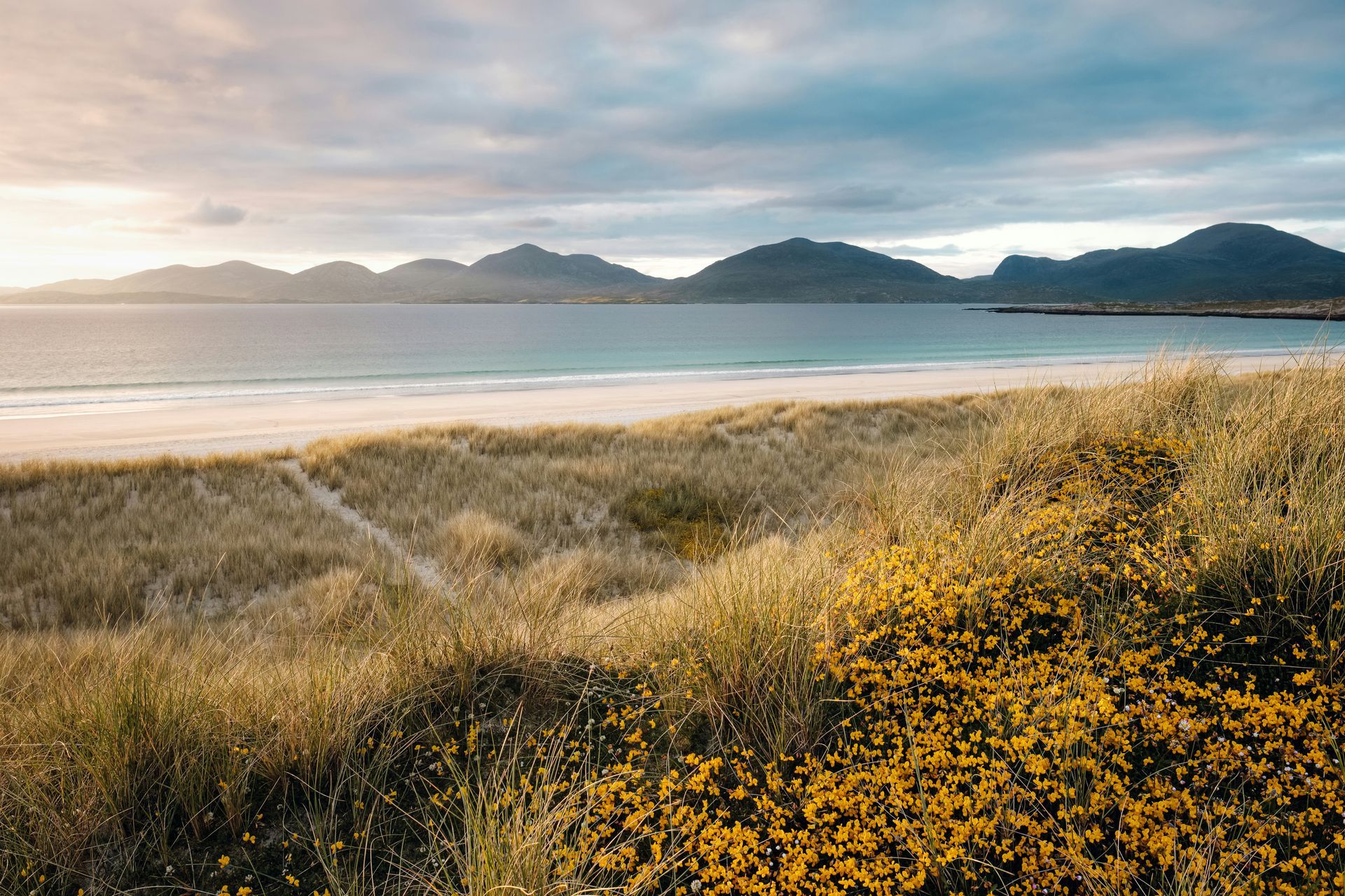 Golden dune grass in the foreground, sandy shore, turquoise water, and mountains on the Hebrides Islands, Scotland.