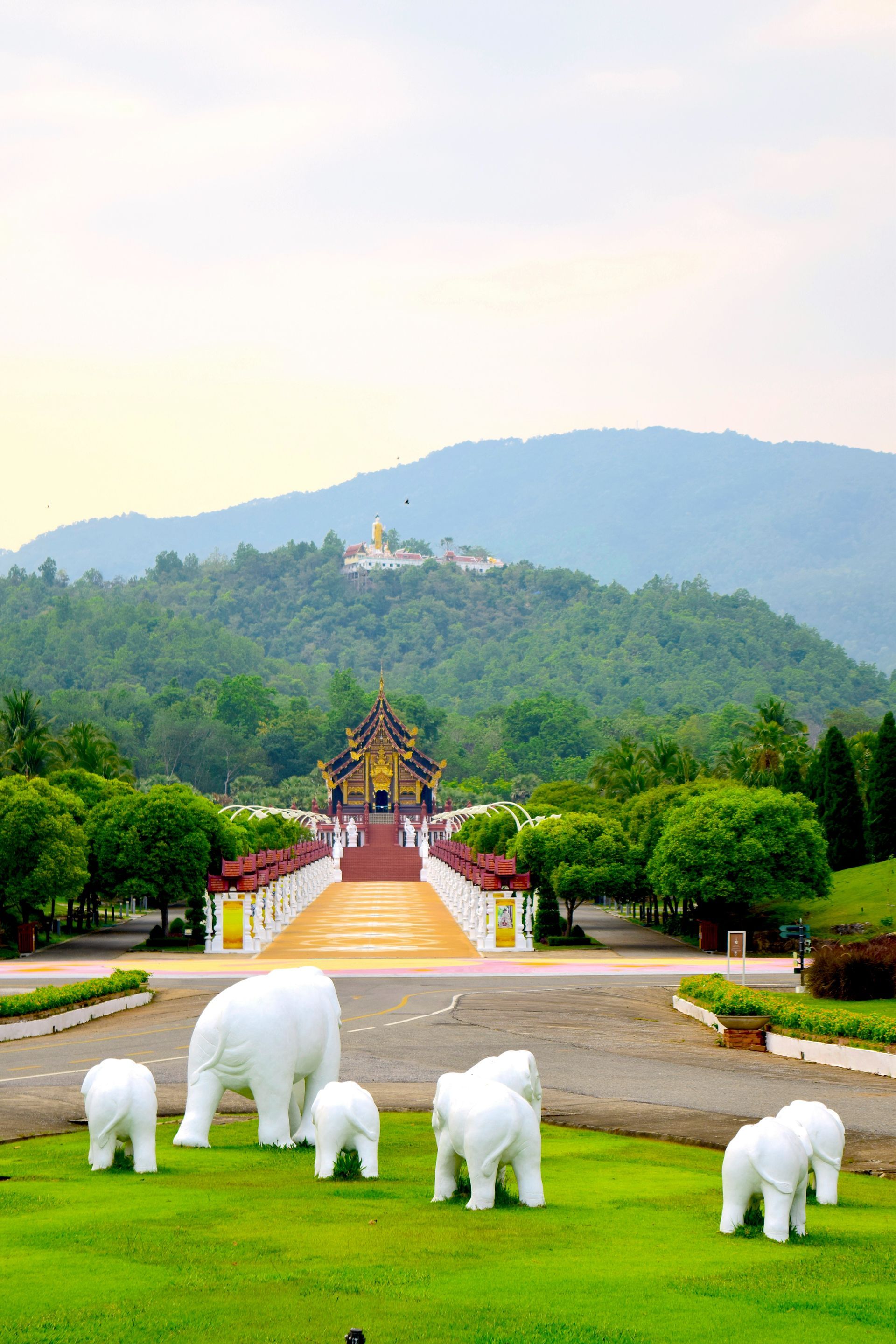 A group of white elephants are standing in the grass in front of a temple in Chiang Mai, Thailand.