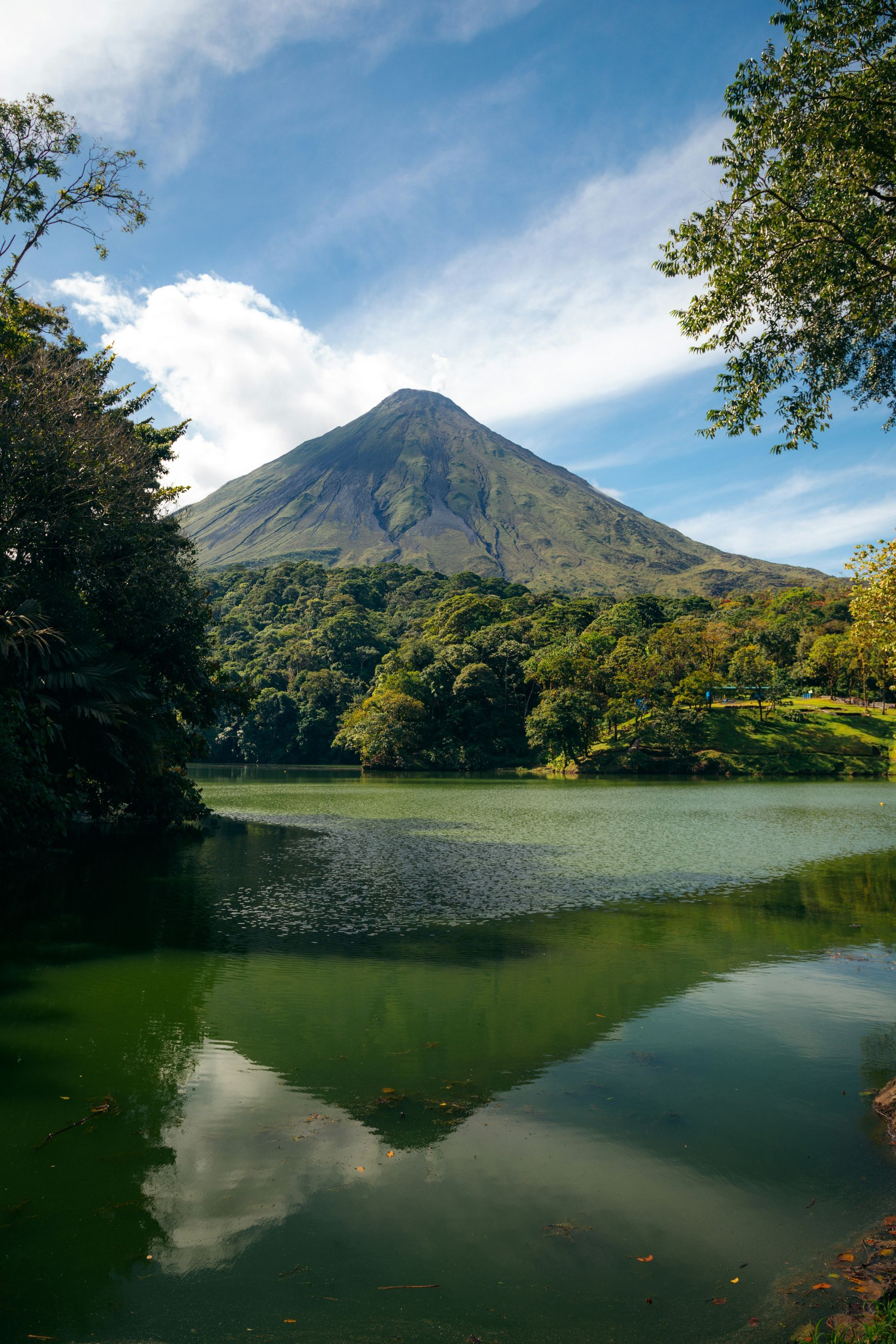 The Arenal Volcano reflected in a green lake, framed by trees in Costa Rica. Clear blue sky with clouds overhead.