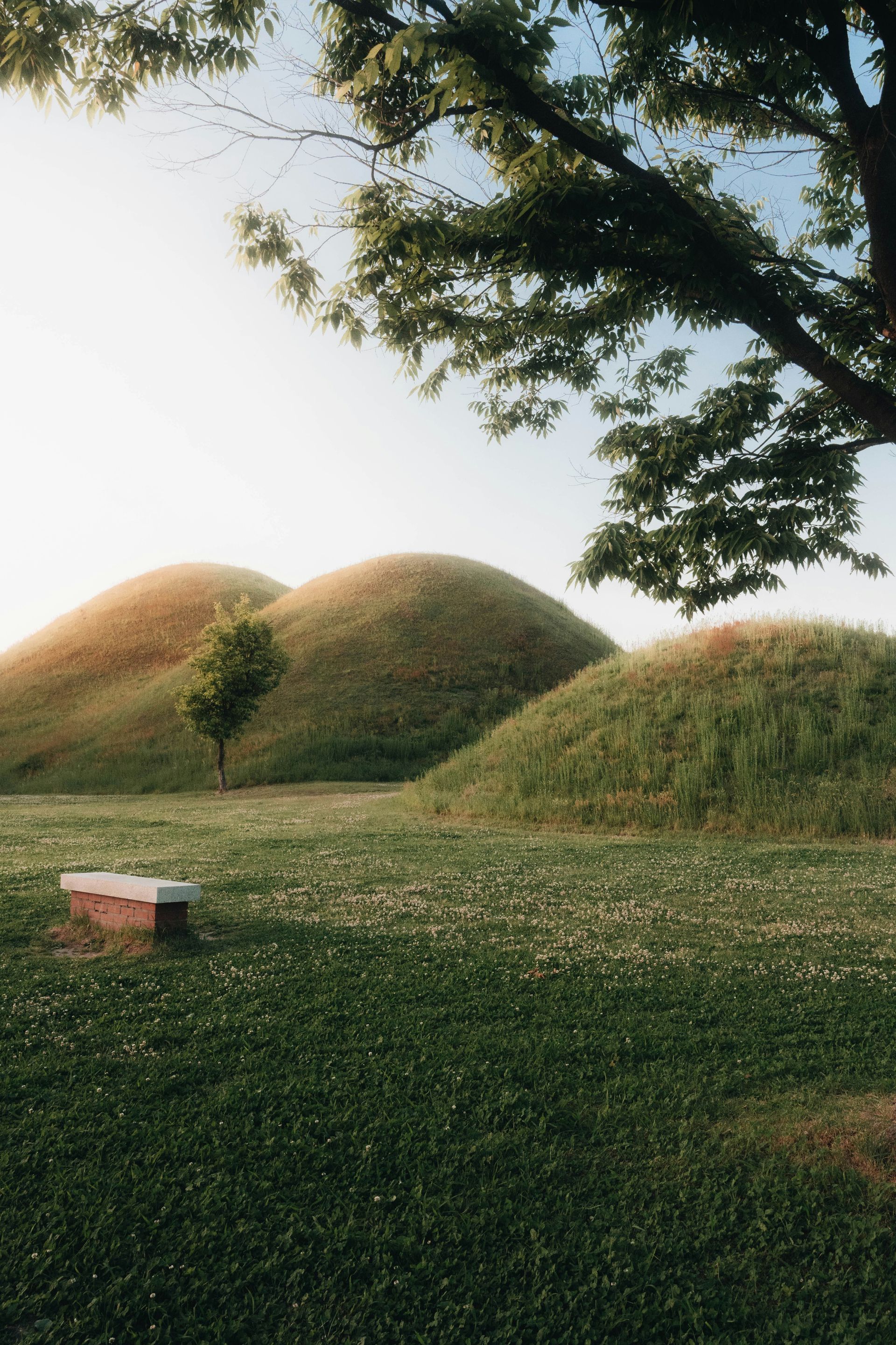 Rolling green hills under a bright sky, with a small bench in Gyeongju, South Korea.