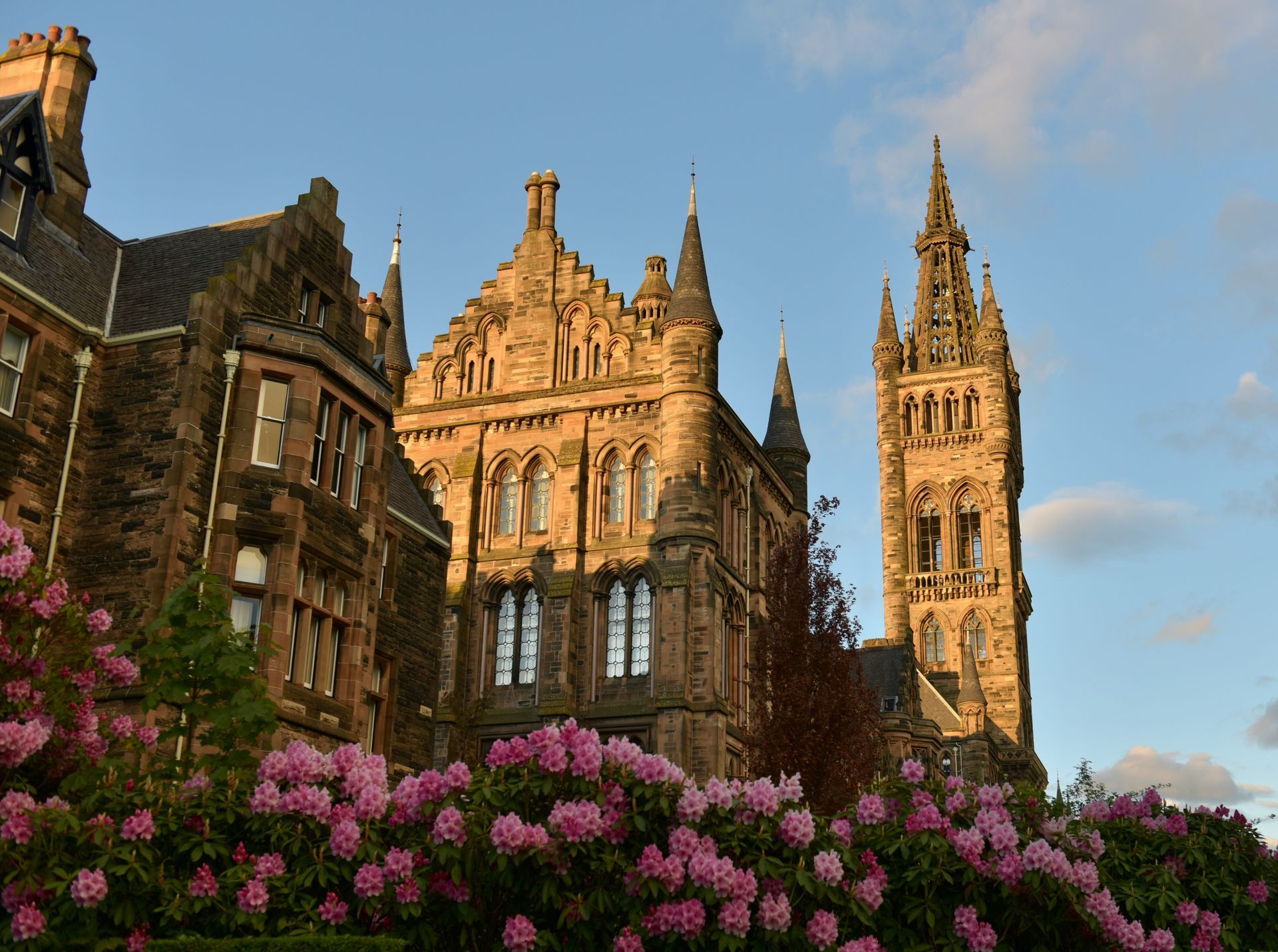 University of Glasgow with gothic architecture, pink flowers in foreground, under a blue sky in Scotland.