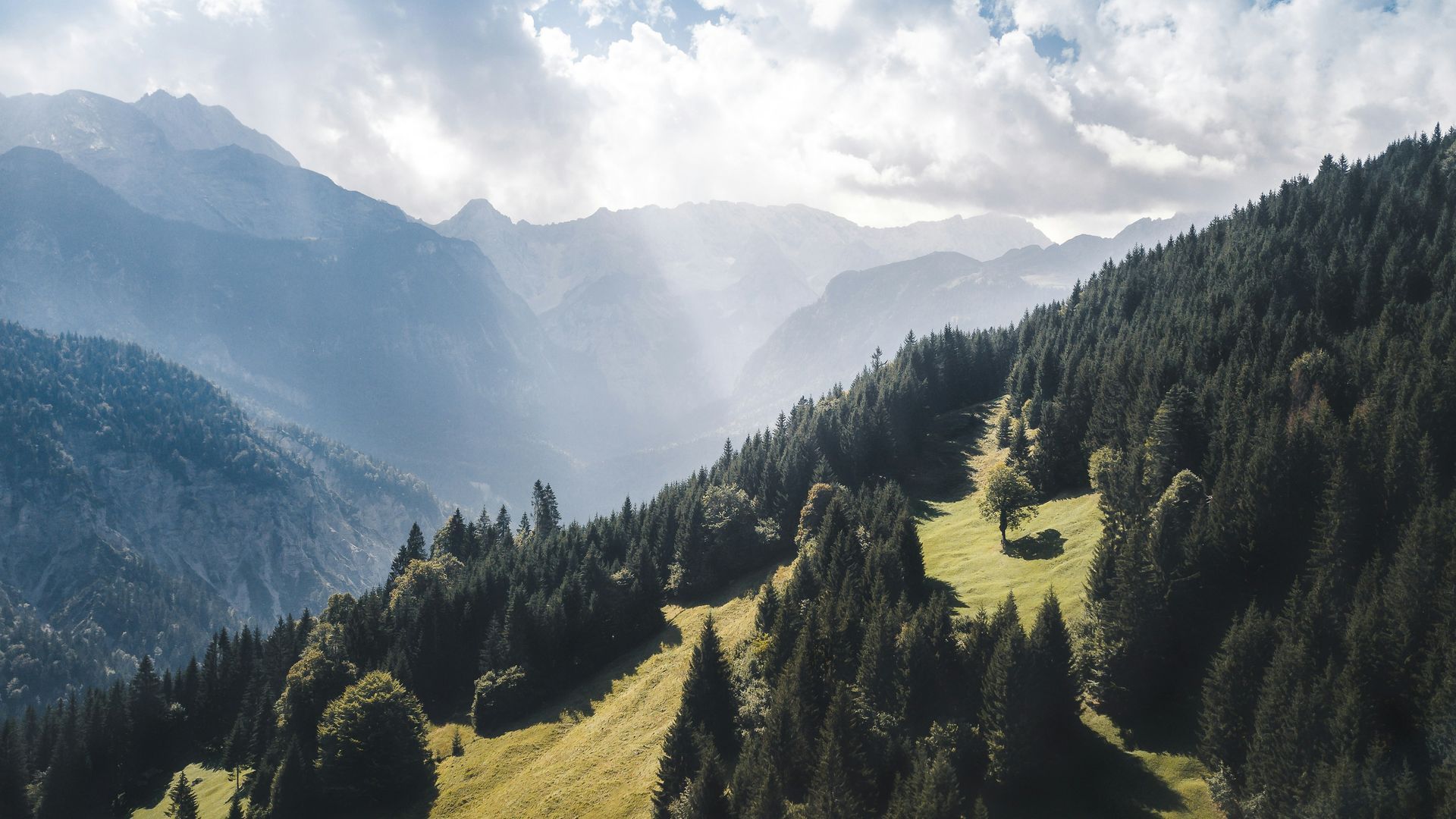 Mountain range with evergreen forest, grassy meadow, and sunlight breaking through clouds in the Bavarian Alps of Germany.