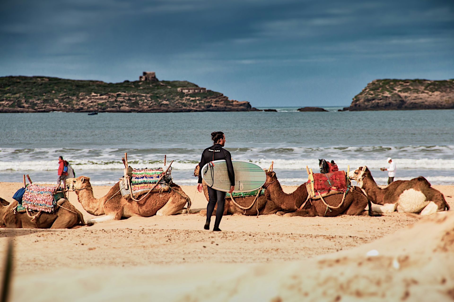 A man is carrying a surfboard on a beach surrounded by camels in Essaouira, Morocco.